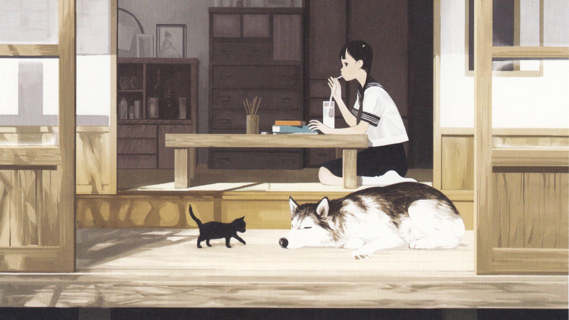 1920x1080 Anime Cats HD Wallpaperx1080 .