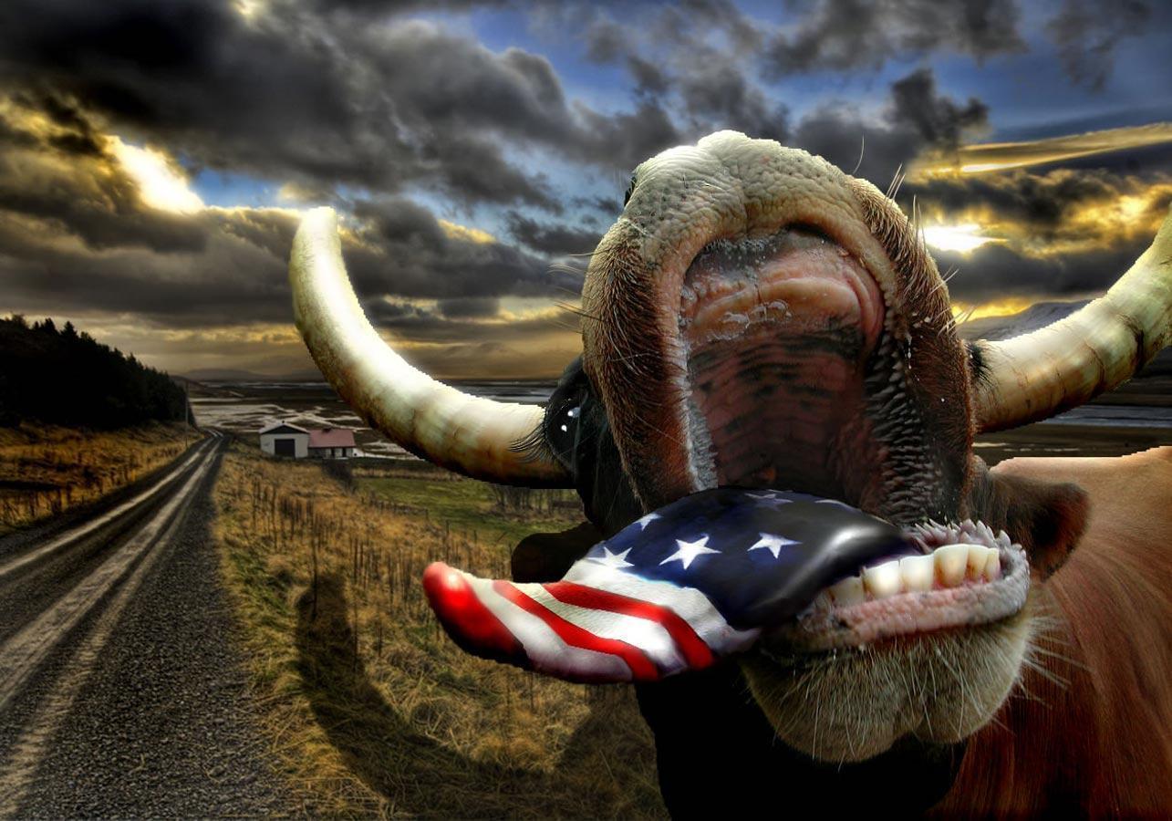 1285x900 Patriotic Desktop Background