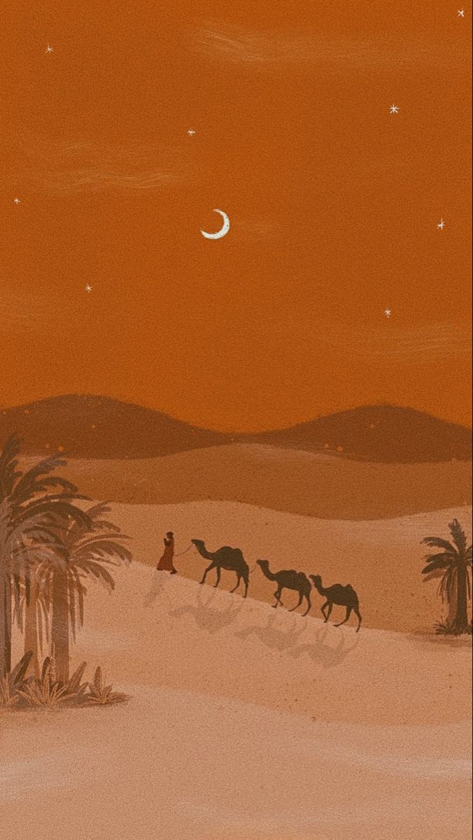 676x1200 Desert