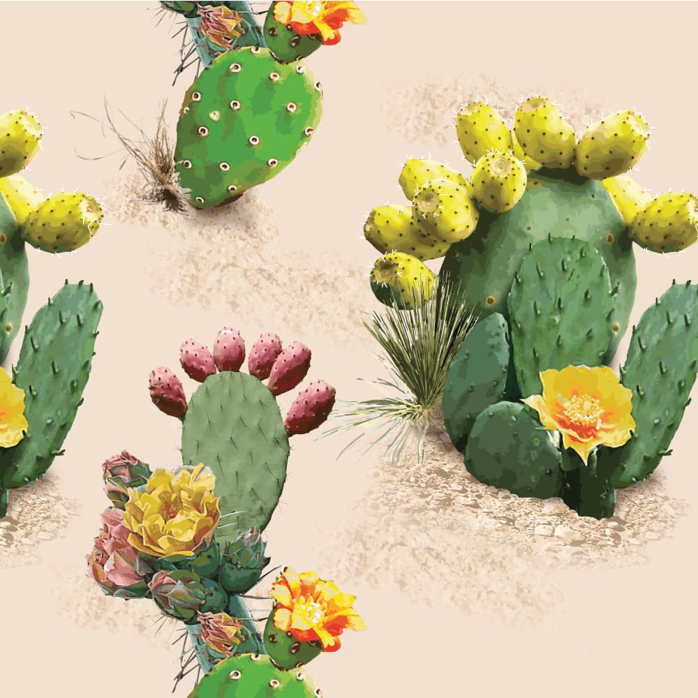 1000x1000 Prickly Pear. Desert Cactus Wallpaper Poppy Paper Co