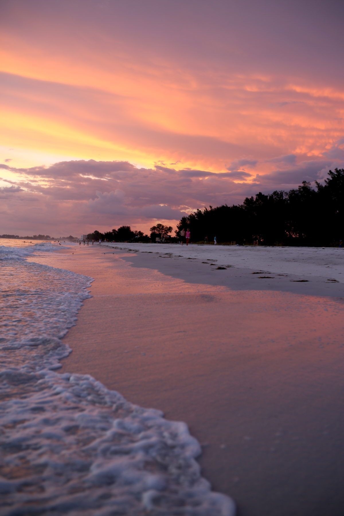 1200x1800 Trip Report. Anna Maria Island Sugarplum!