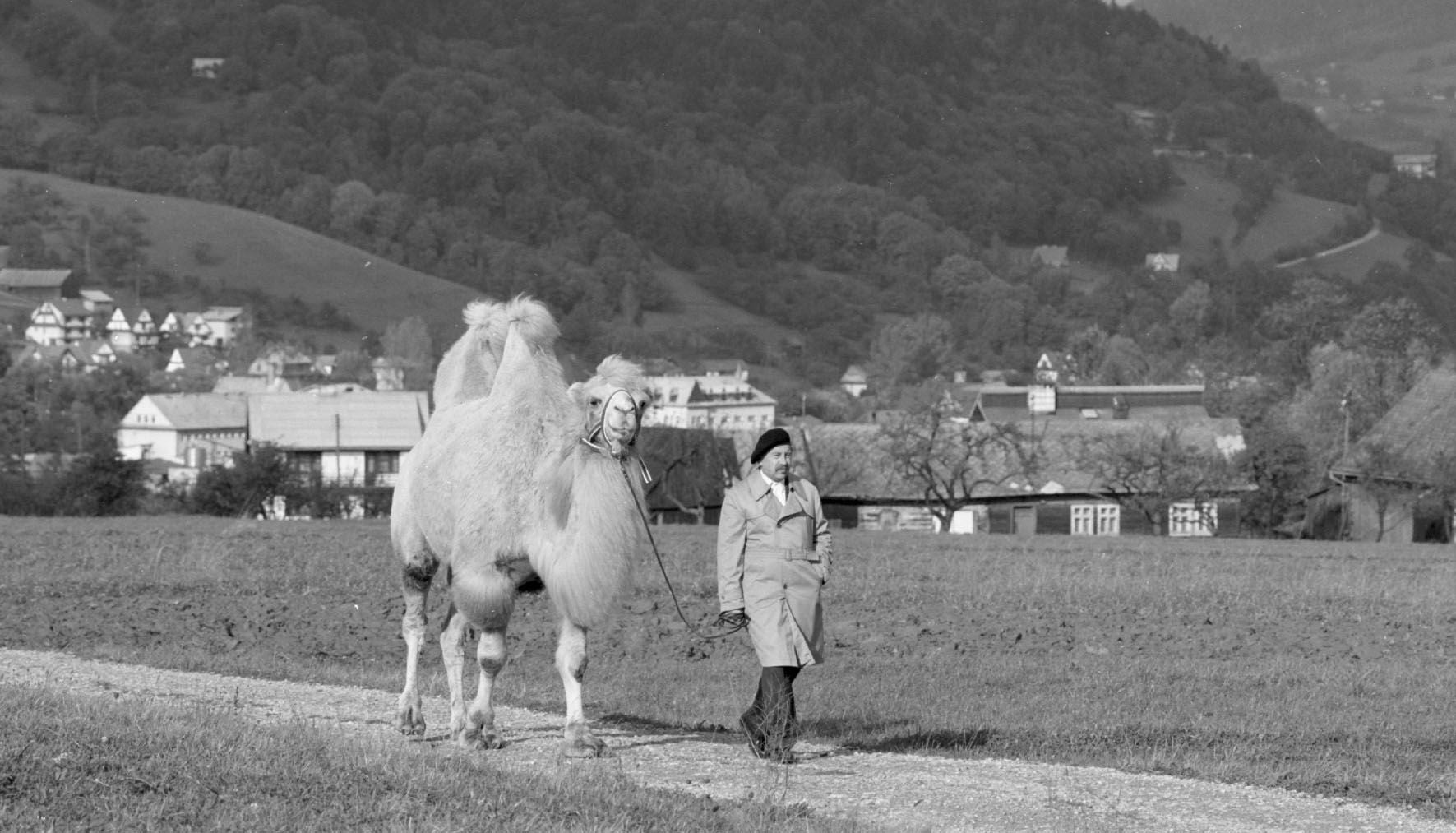 1771x1013 Hallucinating Elephants, DIY & Annoying Everybody: Curious Facts about Kieślowski, Poland's Most Influential Director