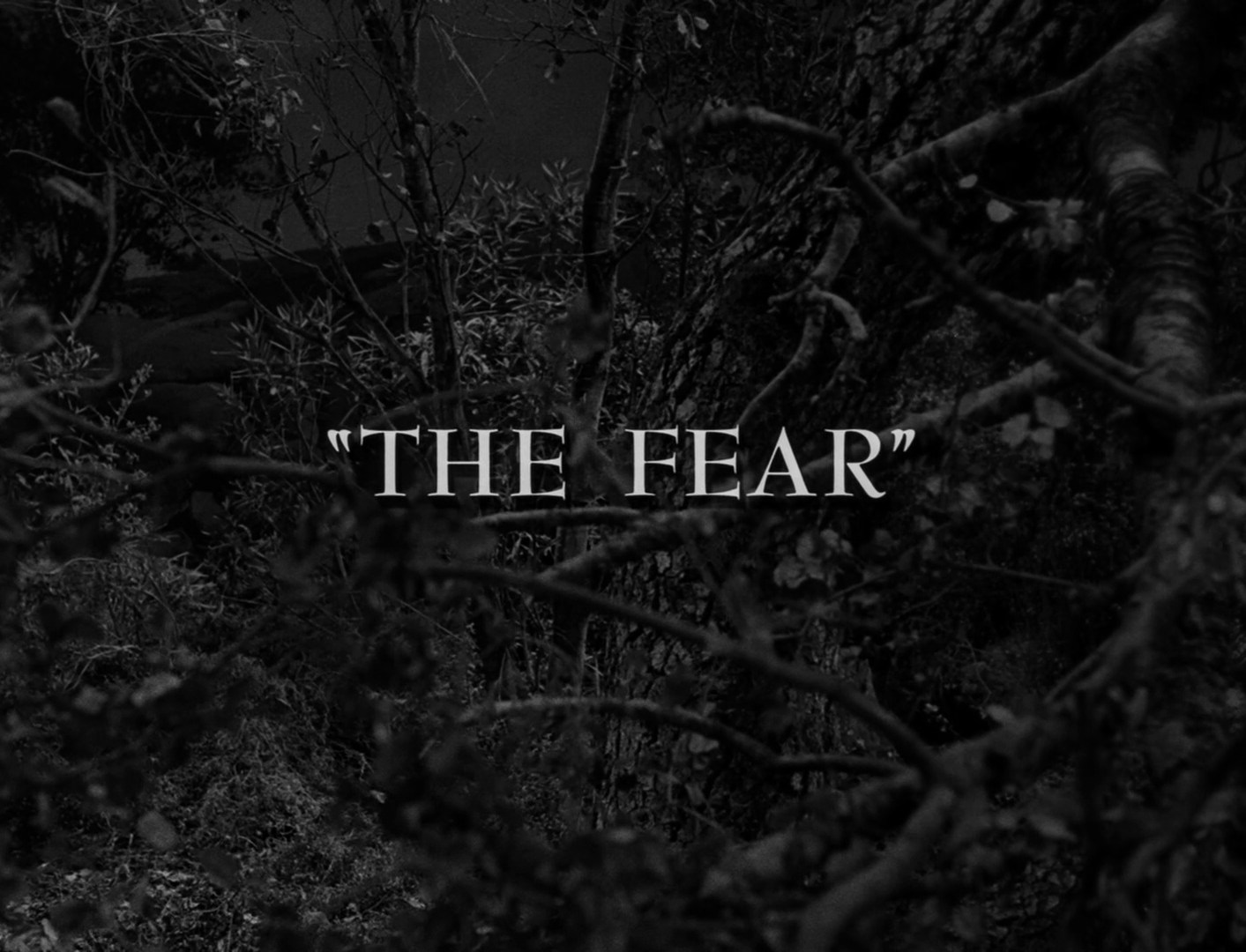 1413x1080 My Life In The Shadow Of The Twilight Zone: Episode Spotlight: The Fear (5 29 1964)