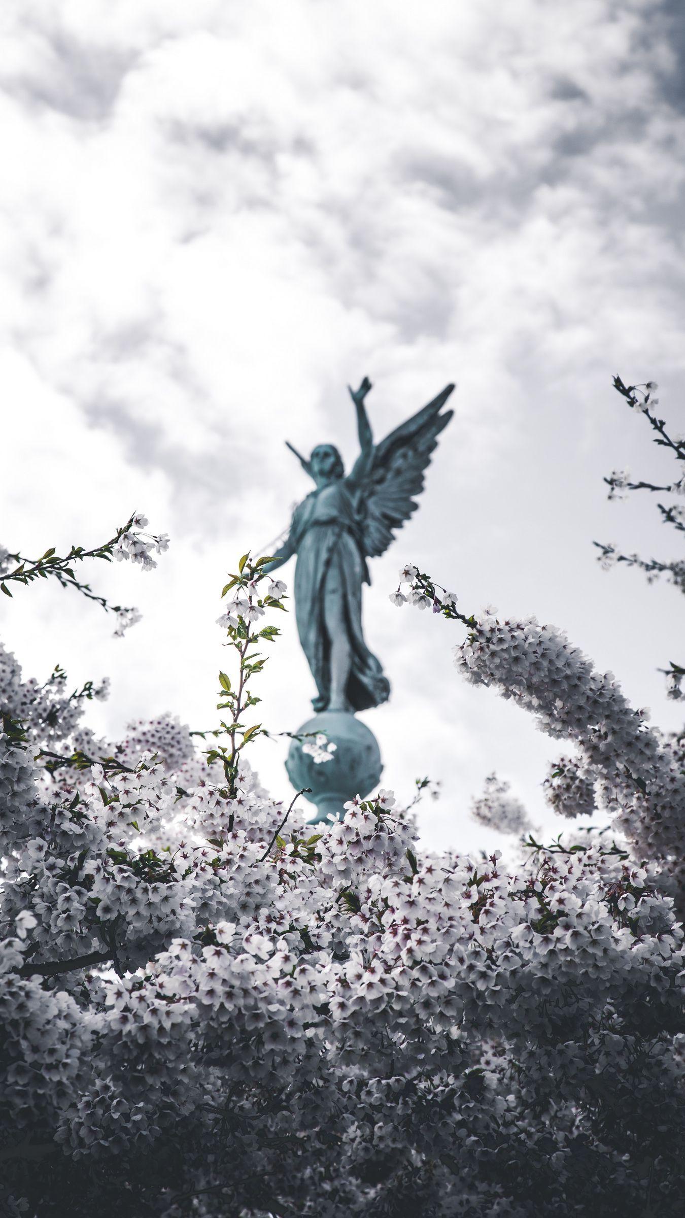 1350x2400 Download wallpaper 1350x2400 sakura, statue, angel, flowers, bloom