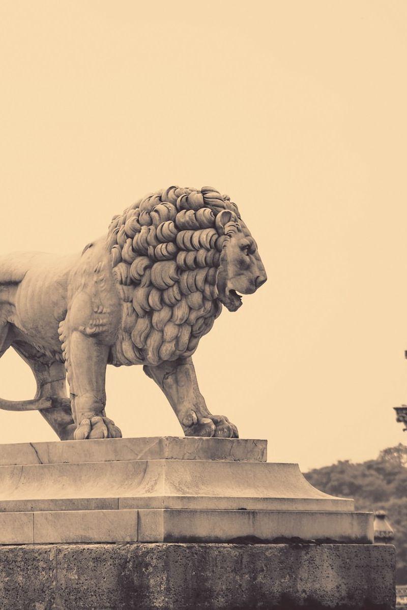 800x1200 Download wallpaper 800x1200 lion, statue, street, city, france