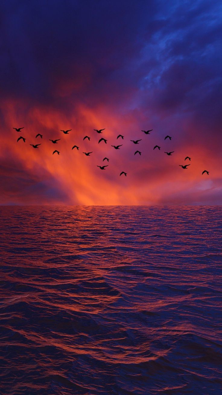 736x1308 Waves, sky, birds, horizon, sunset, sea wallpaper