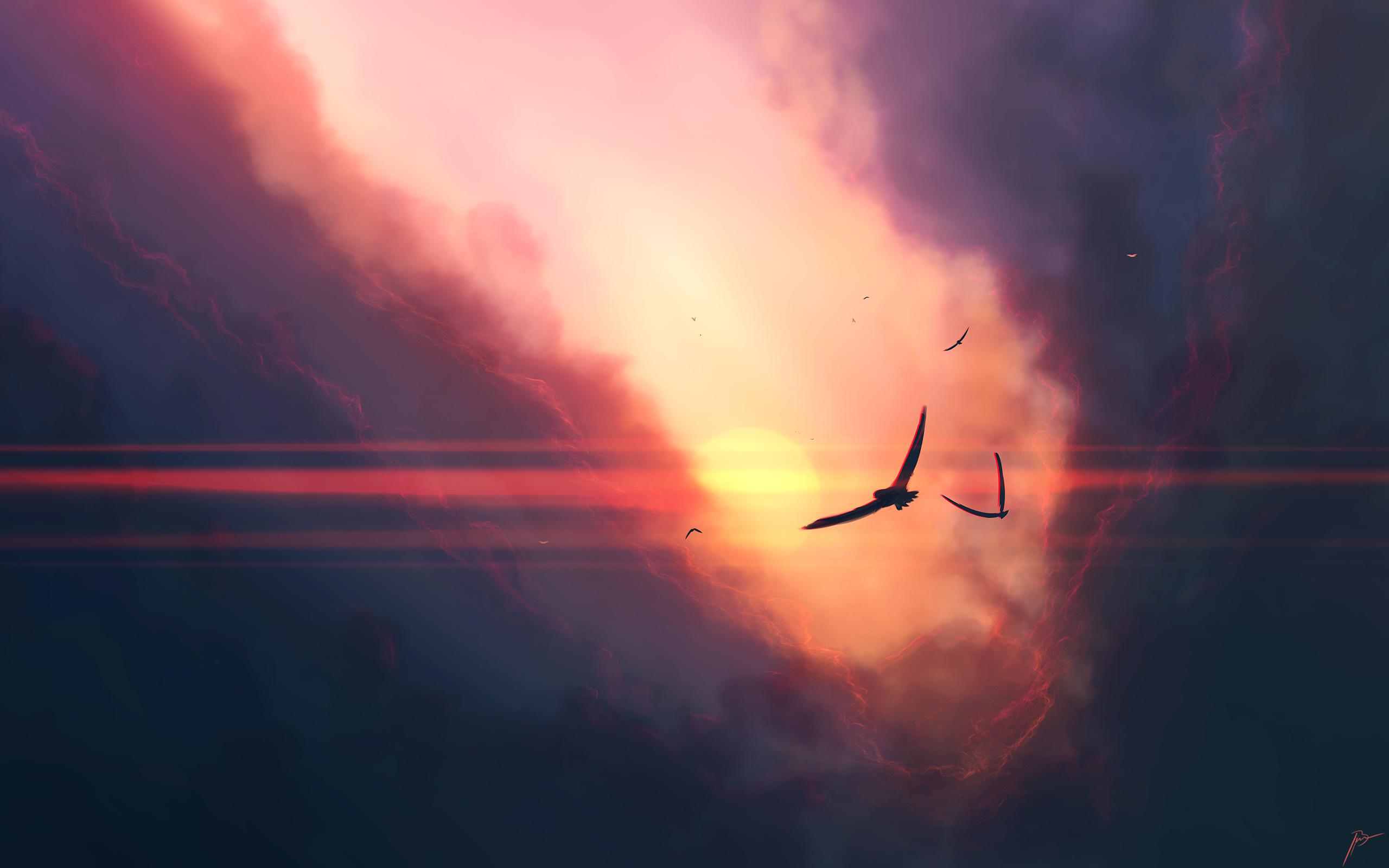 2560x1600 Birds flying at dawn (2560x1600)