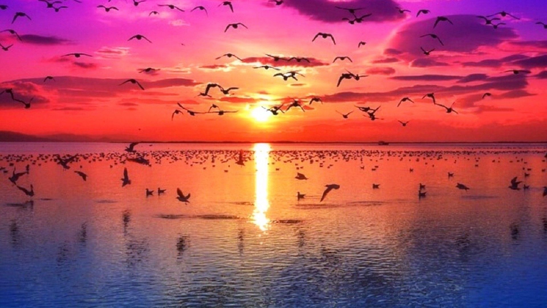 1920x1080 Beautiful Sunrise View Birds Flying Below Pink Red Clouds Sky Reflection On Water HD Nature Wallpaper
