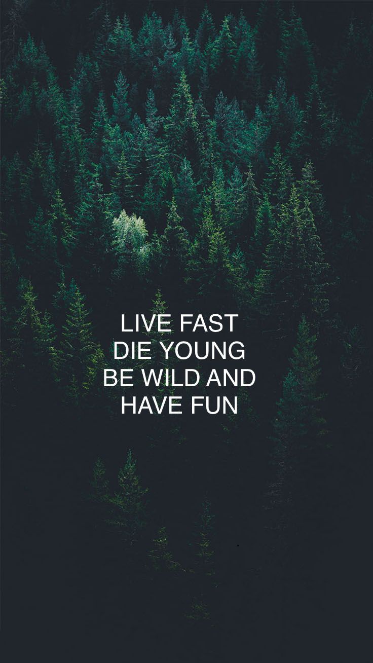 736x1308 Live Fast, Die Young Poster Design. Chasing in the wild wallpaper, Into the wild wallpaper iphone, Quote on forest background