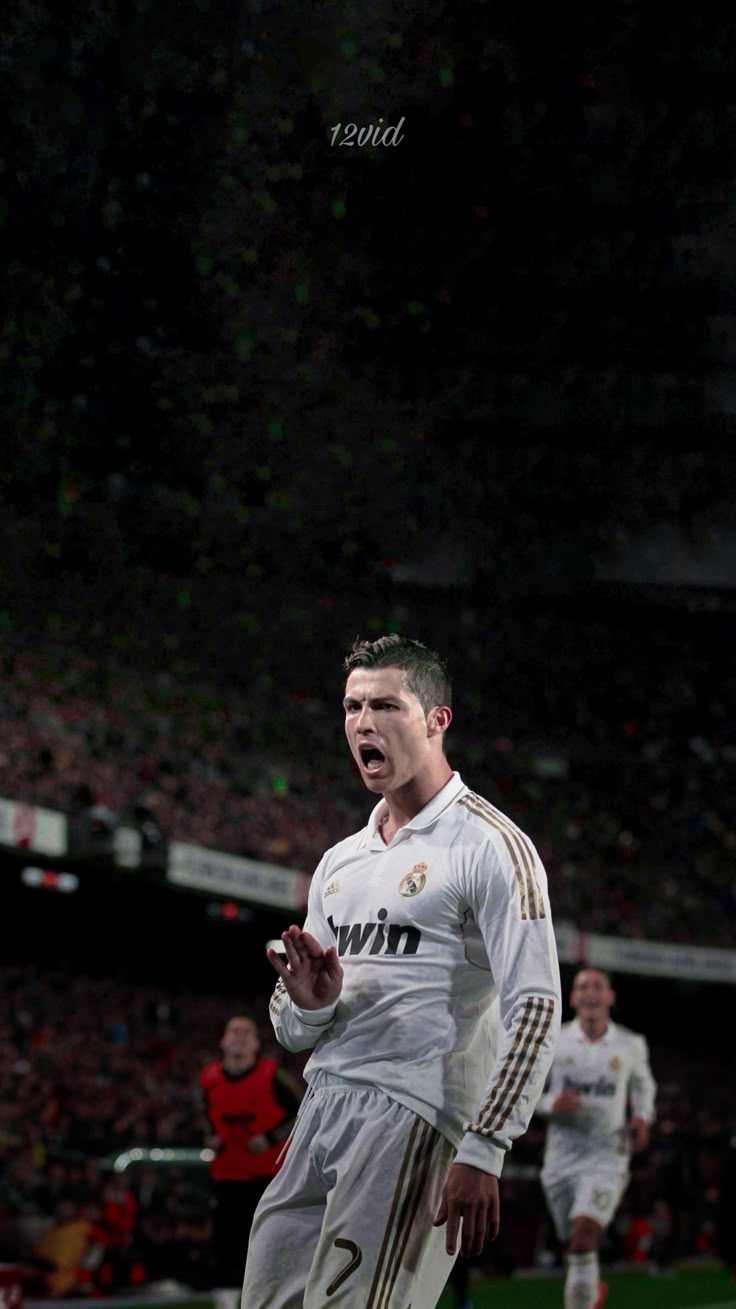 736x1309 Calma Calma