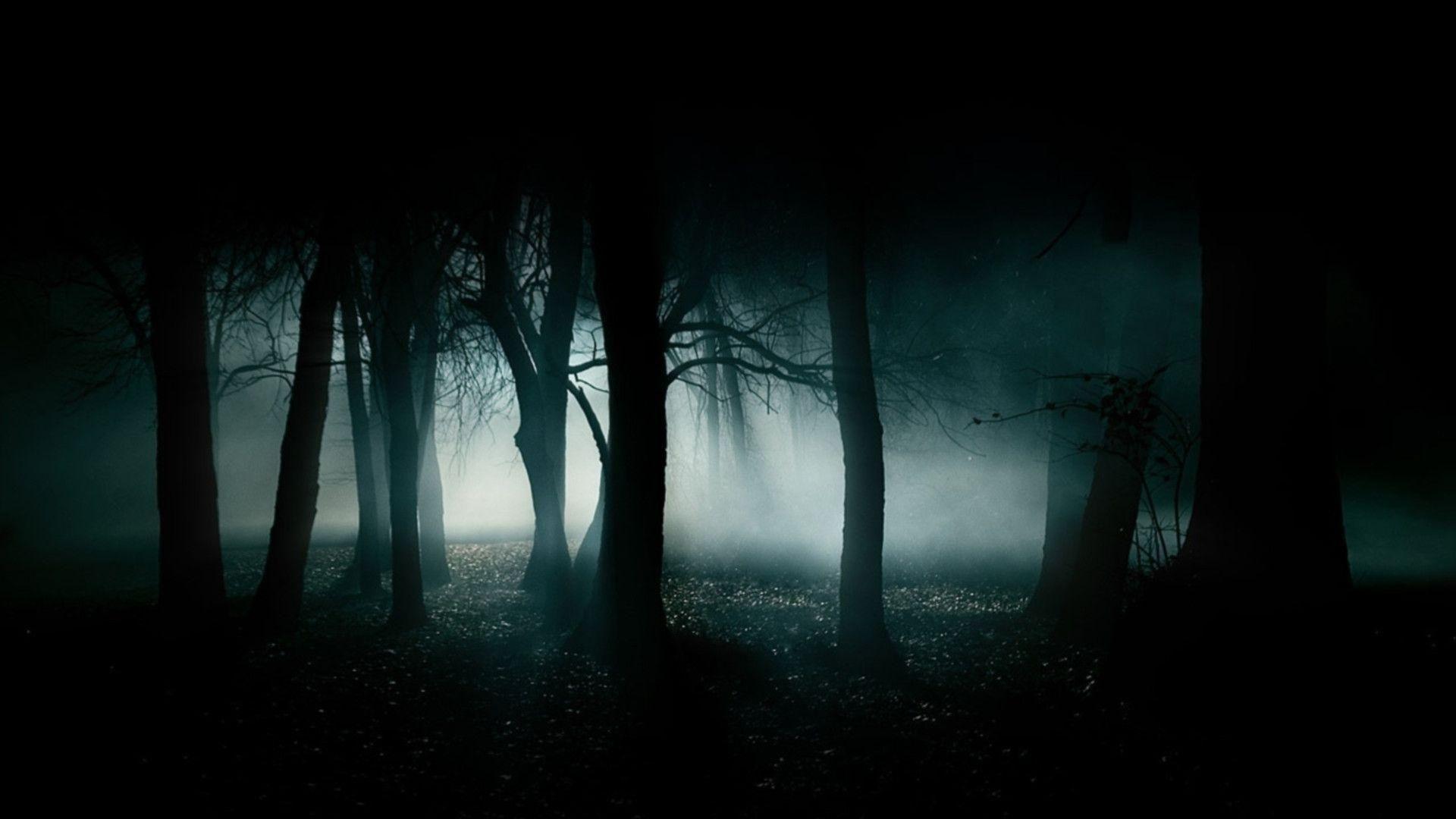 1920x1080 Top Dark HD Wallpaper 1920X1080 FULL HD 1920×1080 For PC Desktop. Haunted forest, Dark forrest, Forest wallpaper