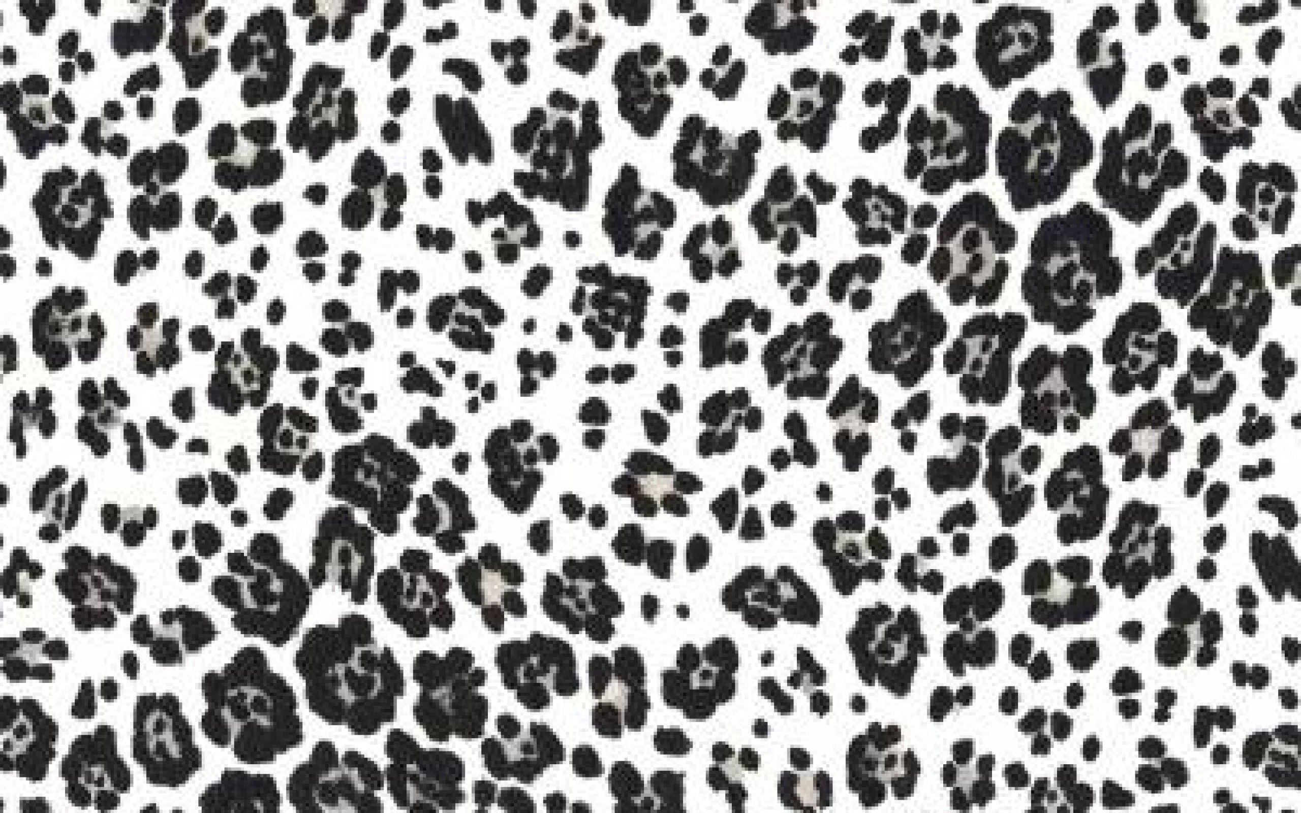 2560x1600 Free download Black and White Leopard Print Wallpaper in High