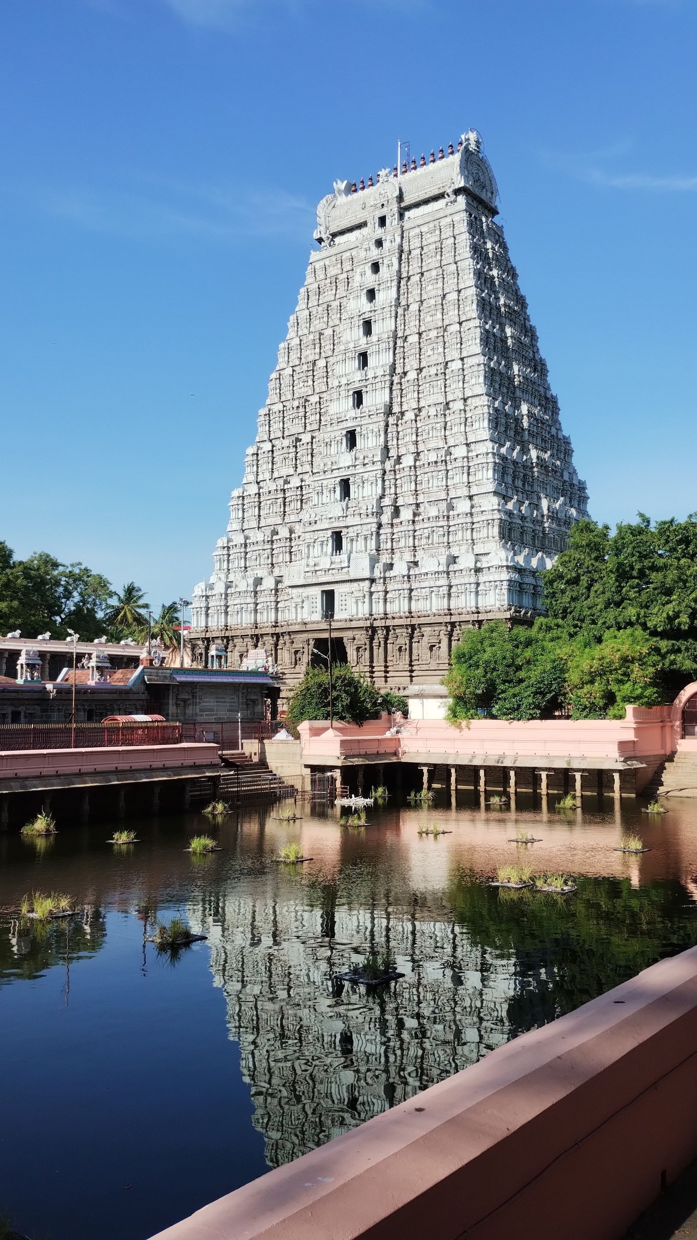 2296x4080 Madurai Meenakshi Amman Temple Photo, Download The BEST Free Madurai Meenakshi Amman Temple & HD Image