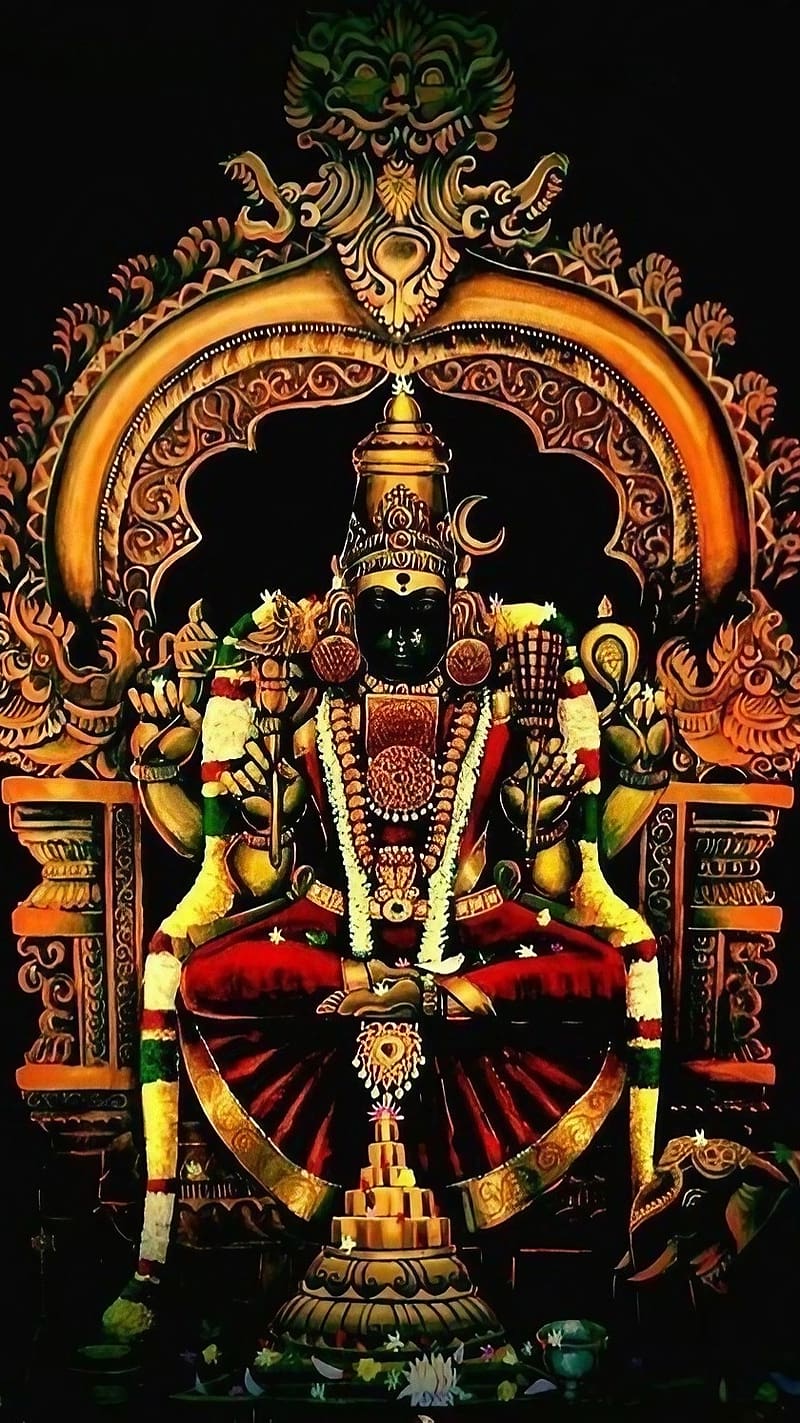 800x1423 Bhagwan, Meenakshi Amman, goddess, HD phone wallpaper