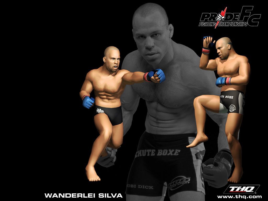 1024x768 PRIDE FC: Fighting Championships official promotional image
