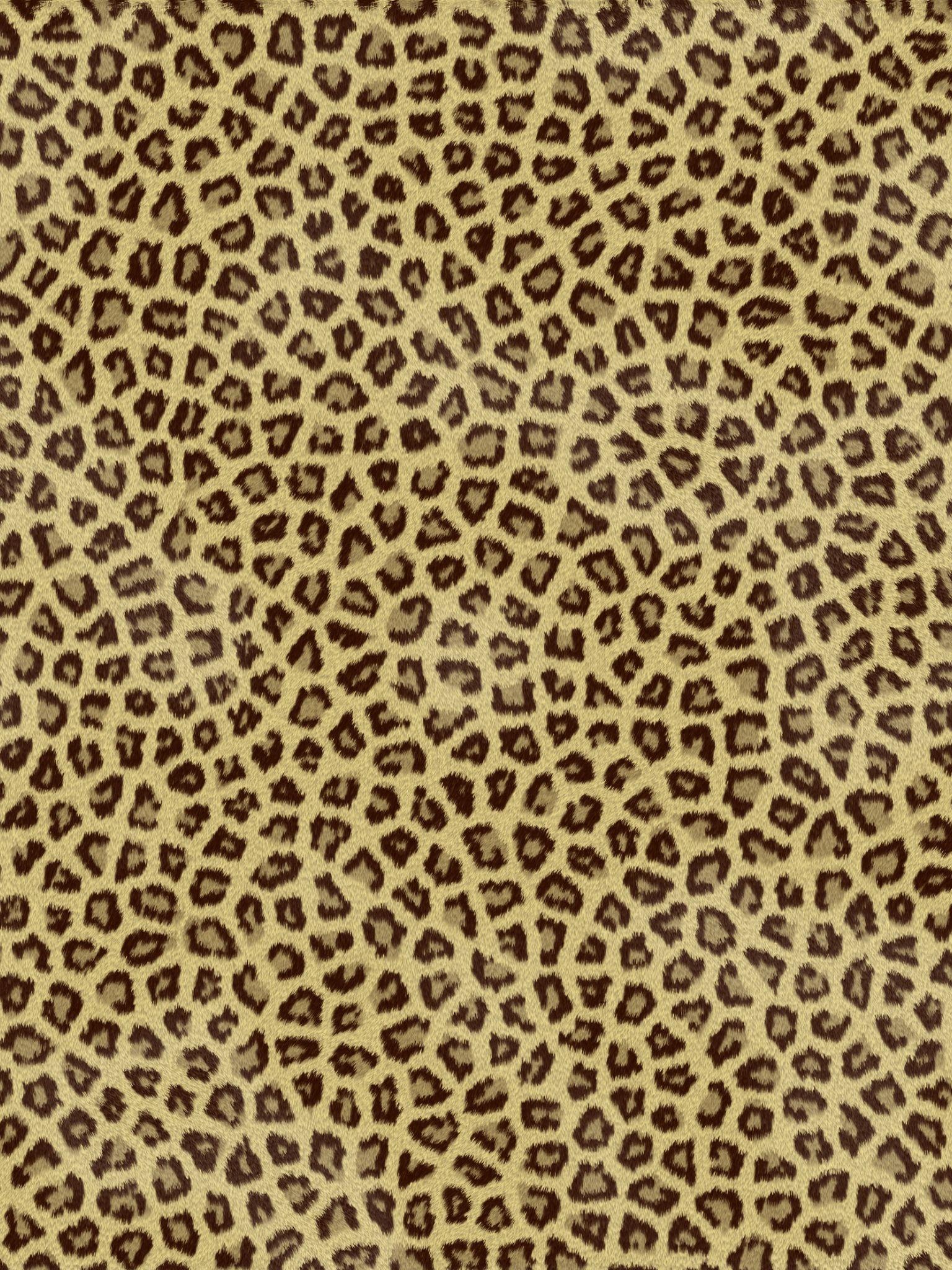 1536x2048 Free download Cheetah Print Background animal print desktop