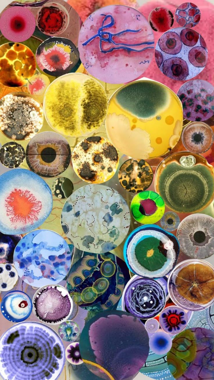736x1308 Check out fartmongerer17's Shuffles #petri #clutter #petridish #collage. Petri dish background aesthetic, Petri dish wallpaper