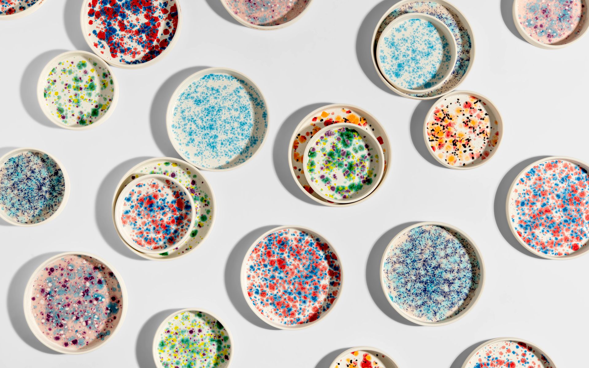 1920x1200 Petri Dish