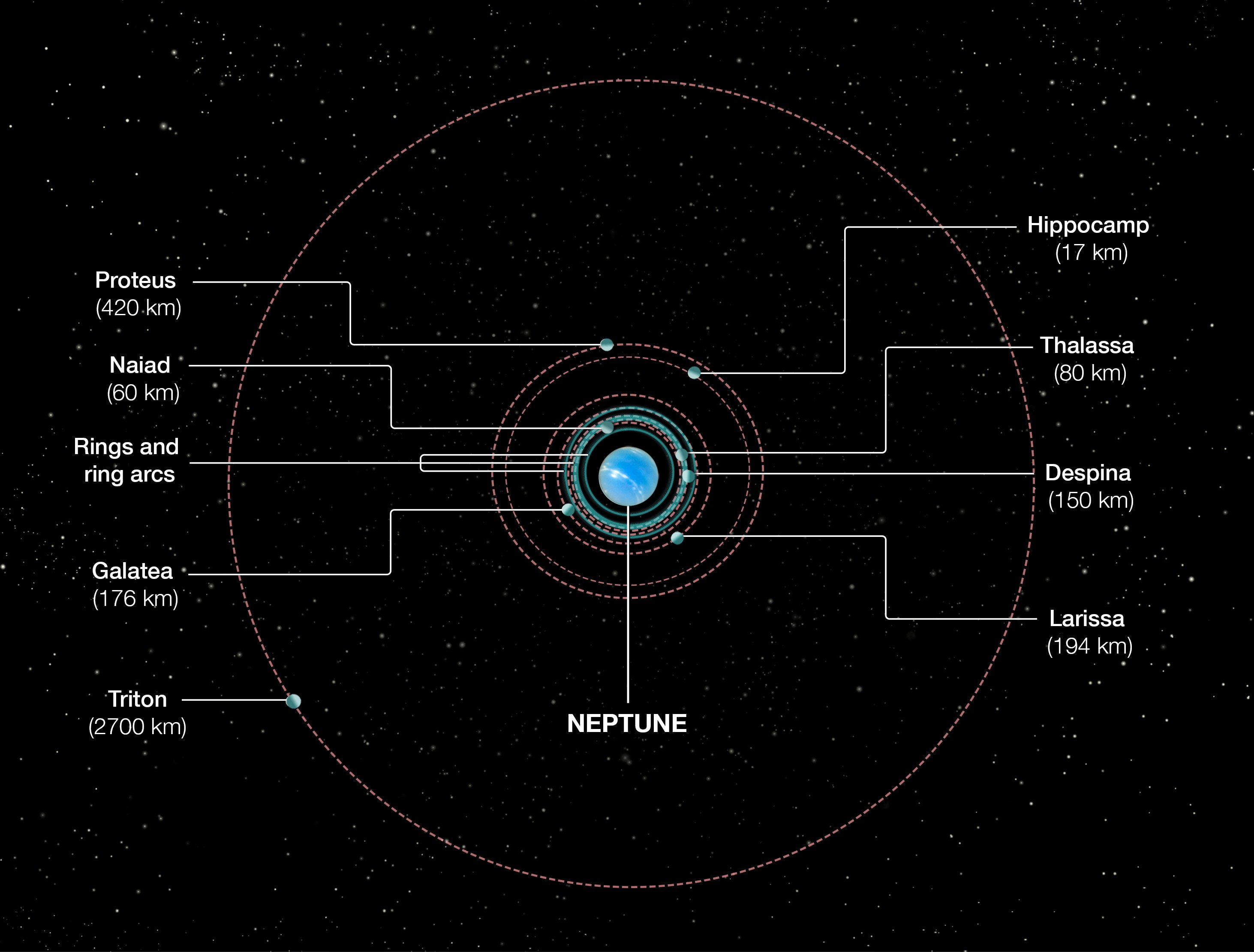 2925x2220 Orbits Of Neptune's Inner Moons