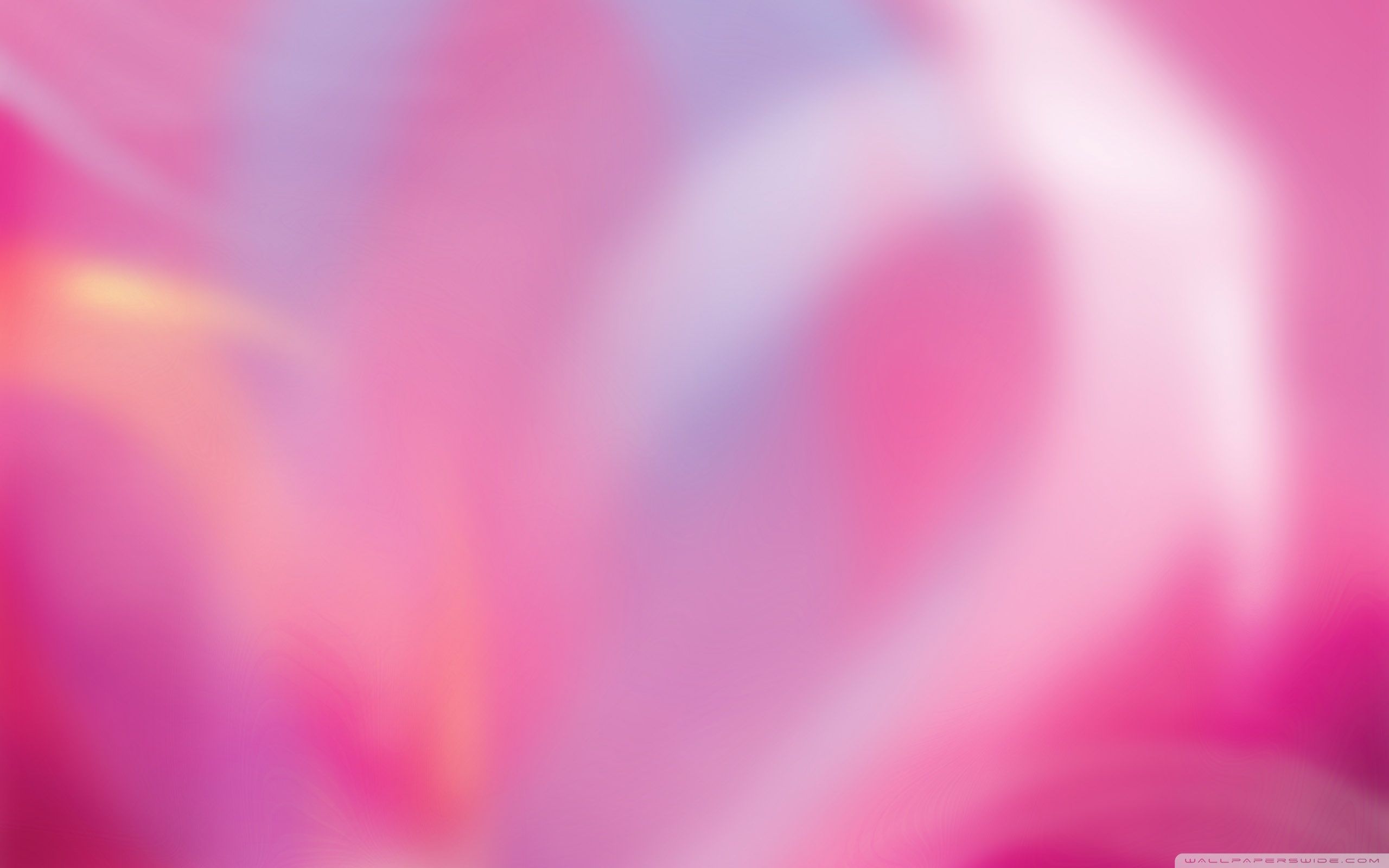 2560x1600 Colorful Aurora Pink 4K UHD Wallpaper for UltraHD Desktop and TV : Widescreen and UltraWide Display : Smartphone and Tablet Devices