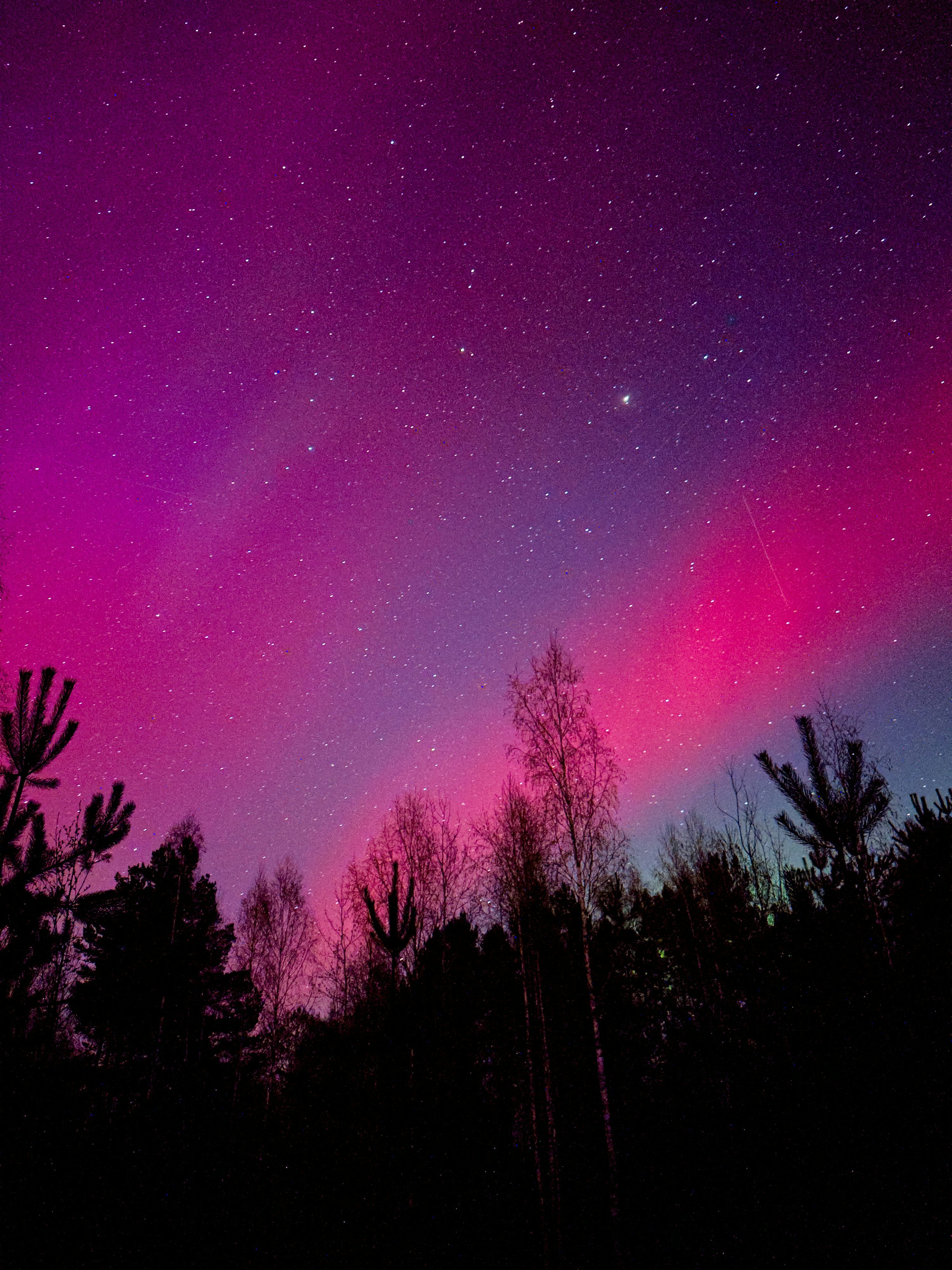 3000x4000 A purple and pink sky with trees in the foreground photo
