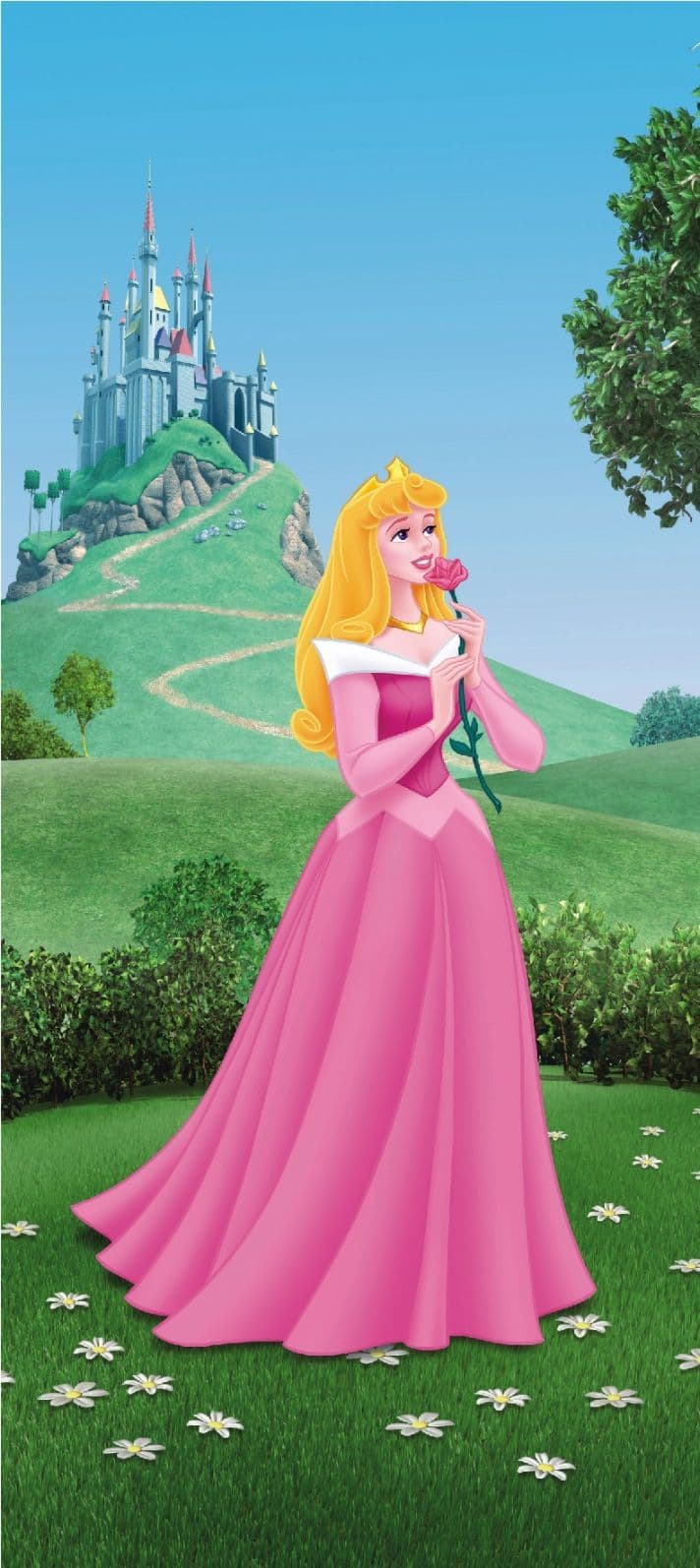 712x1594 Princess Aurora mural wallpaper 90x202cm