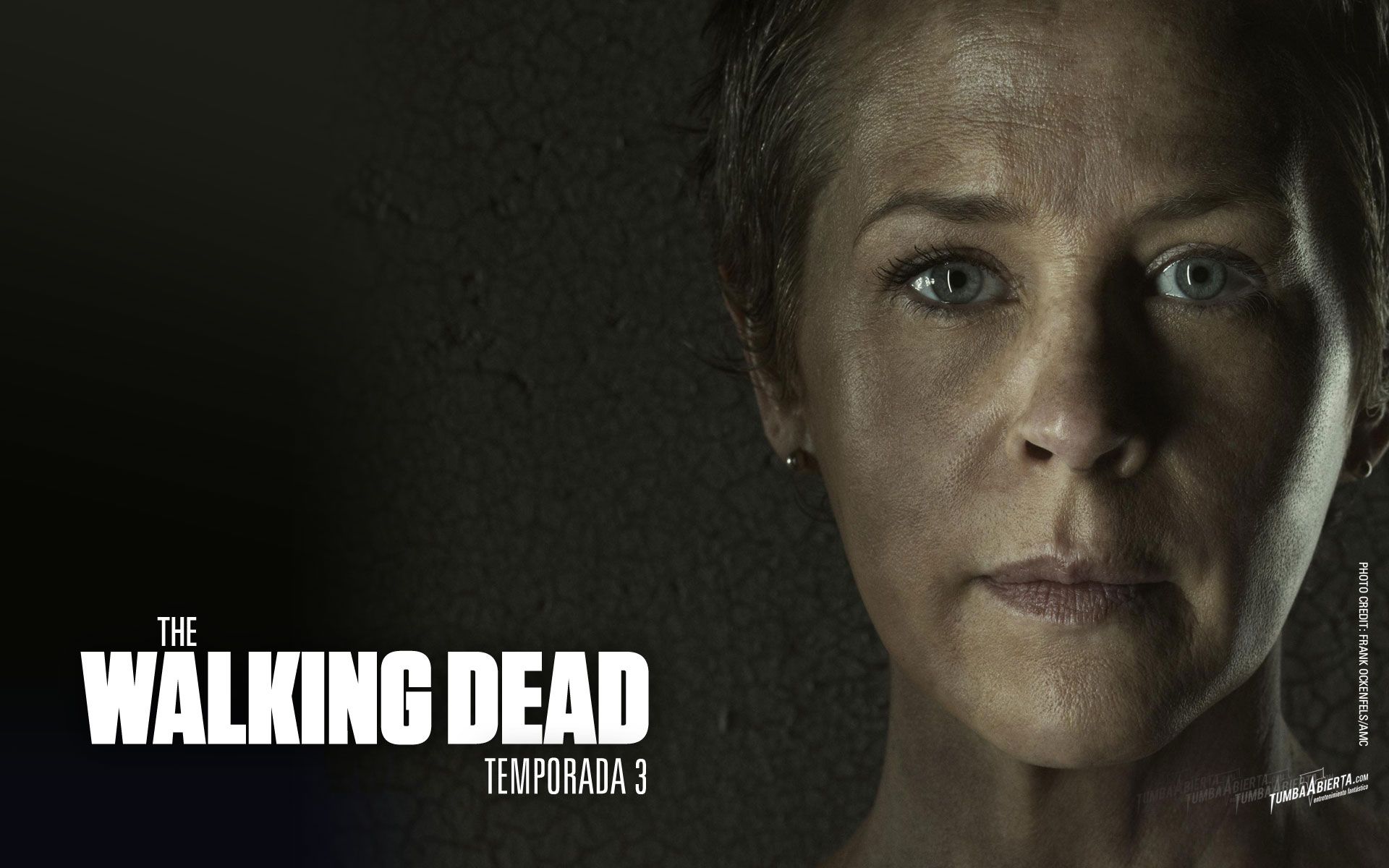 1920x1200 WALLPAPERS: THE WALKING DEAD T3 Serie 3 en HD