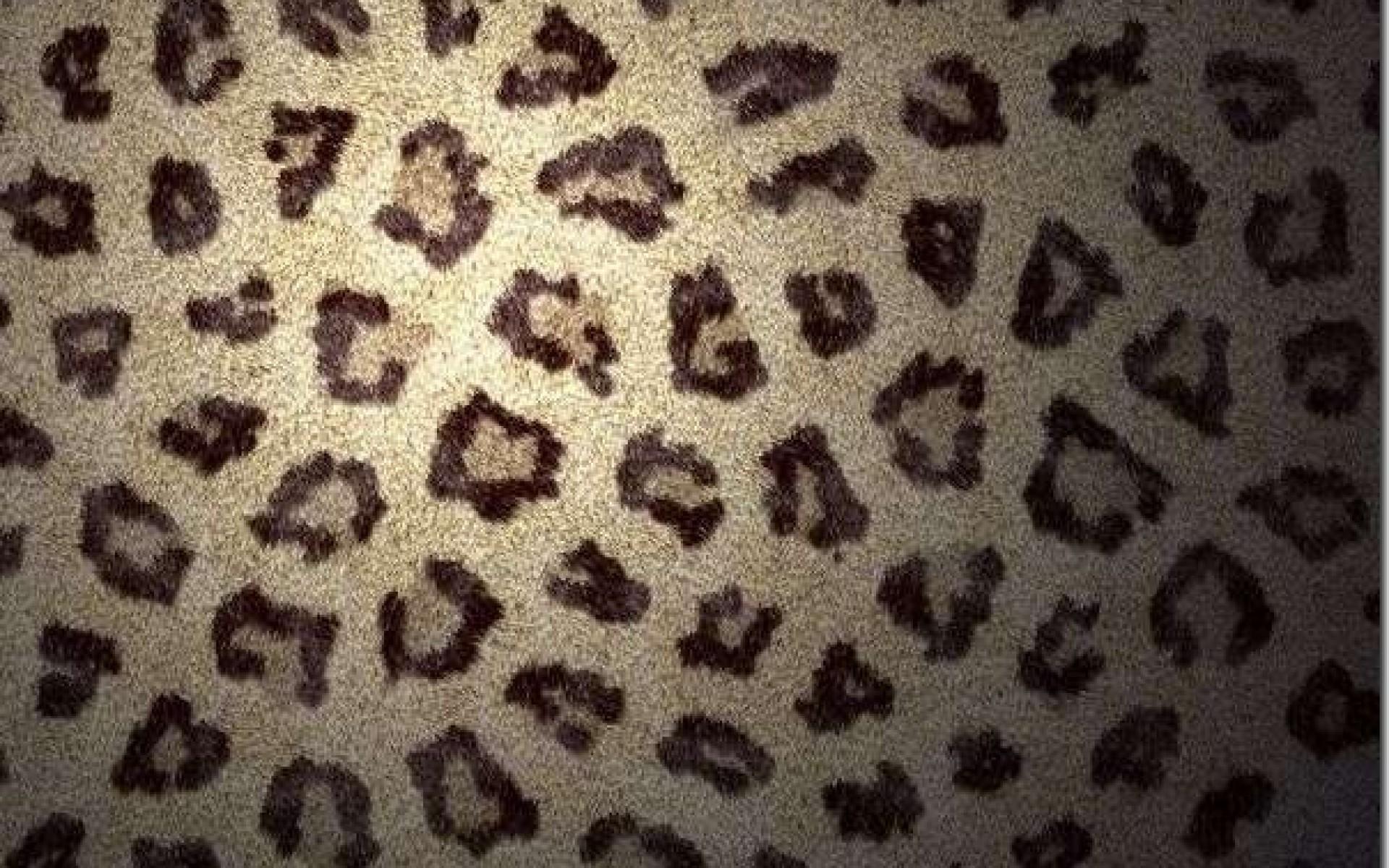 Leopard Print Wallpapers Top Free Leopard Print Backgrounds