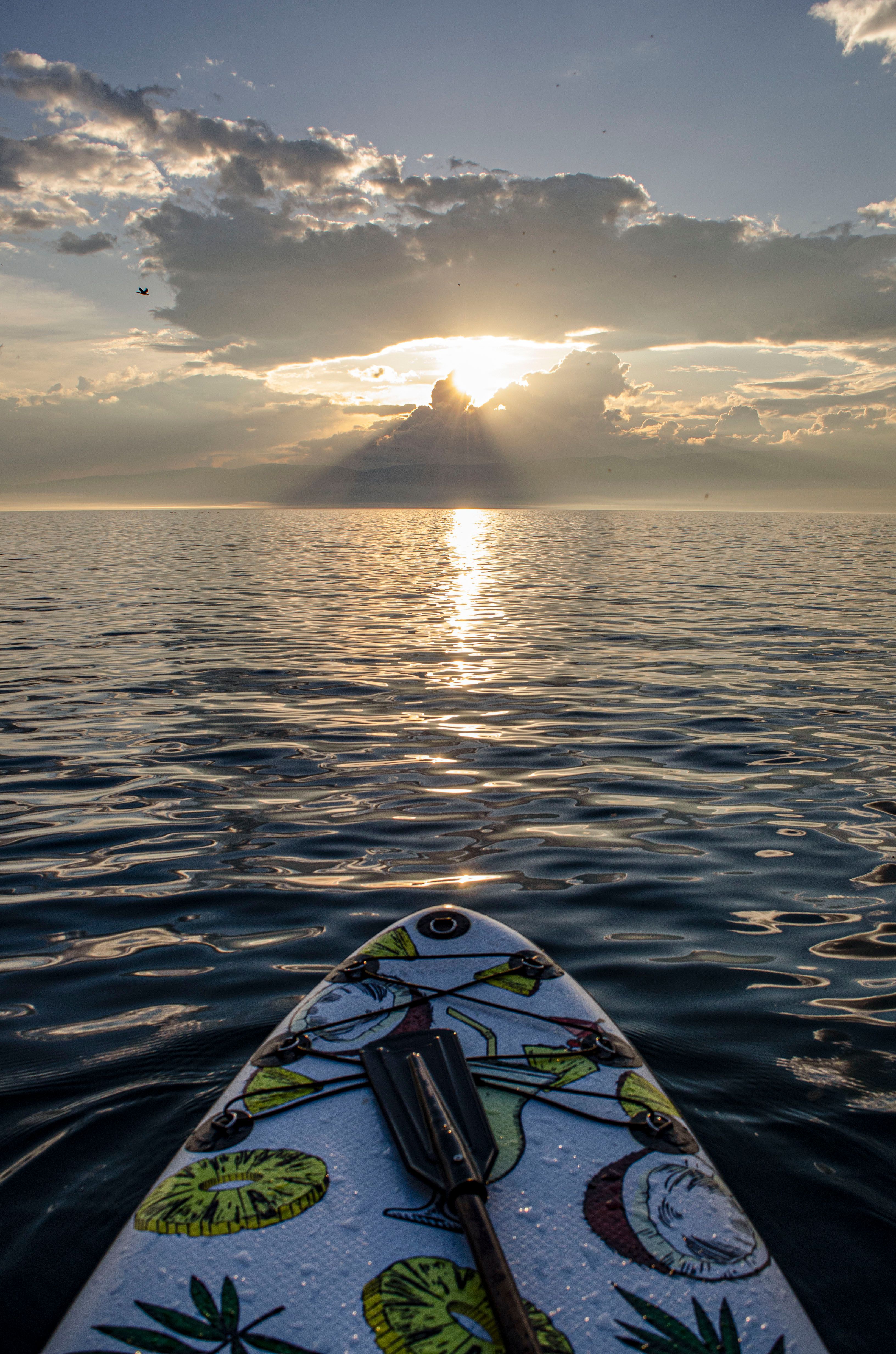 3264x4928 Paddle Board in the Sea · Free