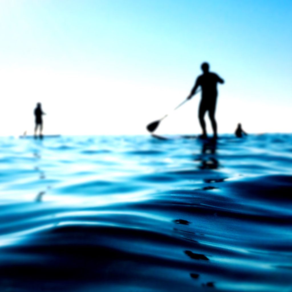 1024x1024 Surfari Surfari Stand Up Paddle Board Rental
