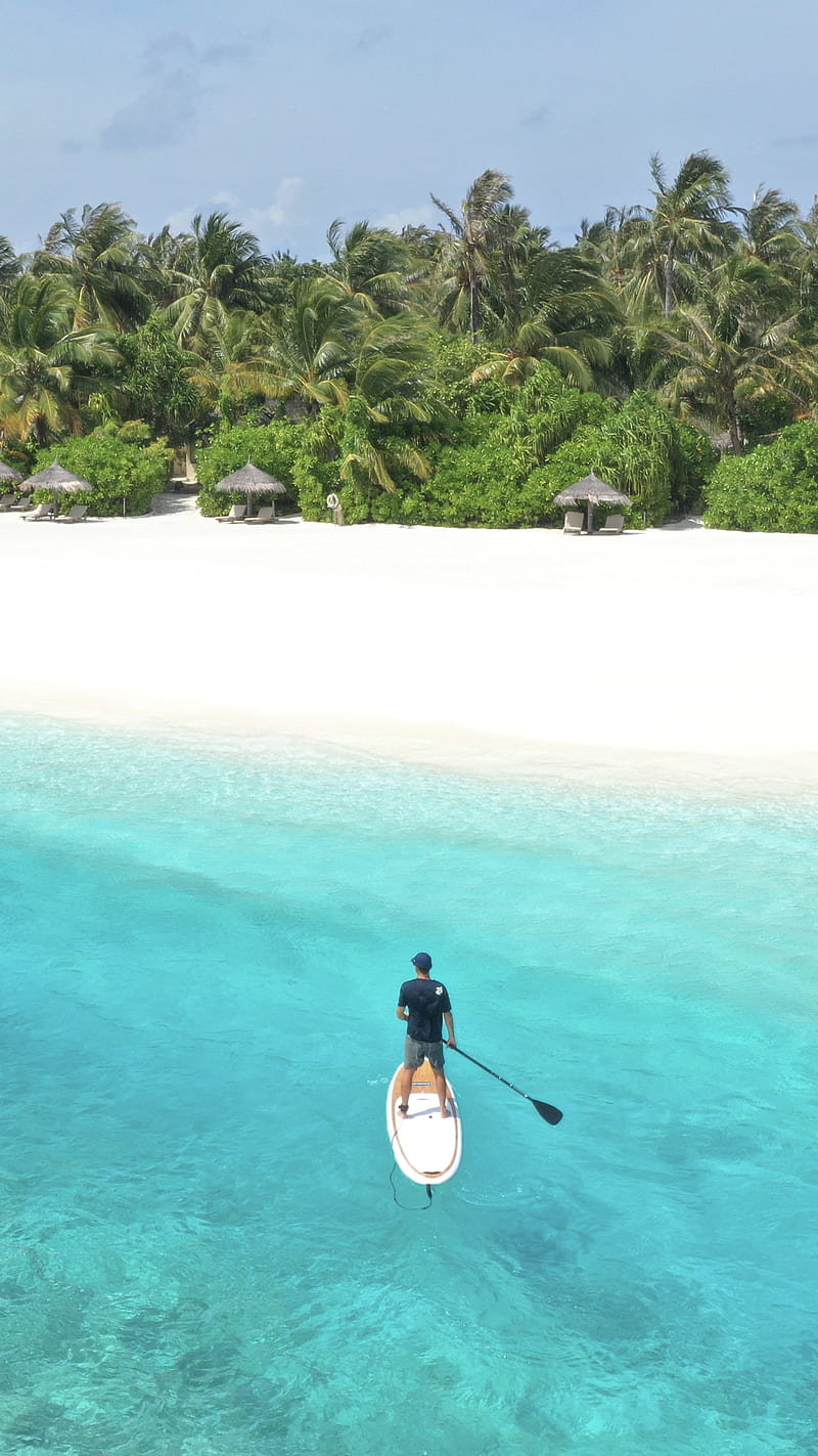 800x1423 SUP, beach, lagoon, maldives, ocean, paddle board, sport, tropical palm trees coconut resort maldives travel holiday summer sunny fun, HD phone wallpaper