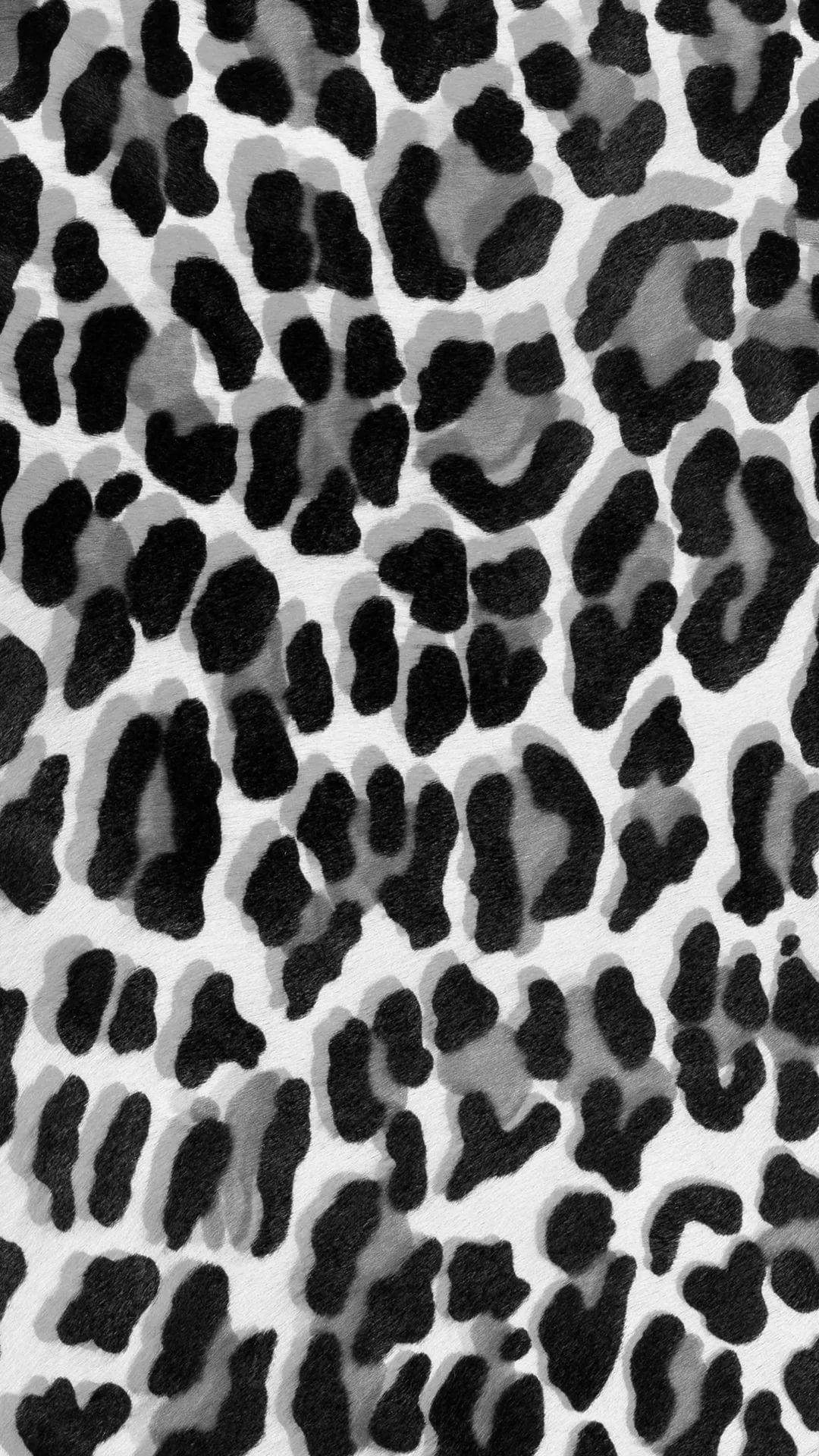 Free download leopard background Cheetah print wallpaper Iphone wallpaper  675x1200 for your Desktop Mobile  Tablet  Explore 29 Cheetah Print  iPhone Wallpapers  Cheetah Print Wallpaper Glitter Cheetah Print Wallpaper  Cheetah
