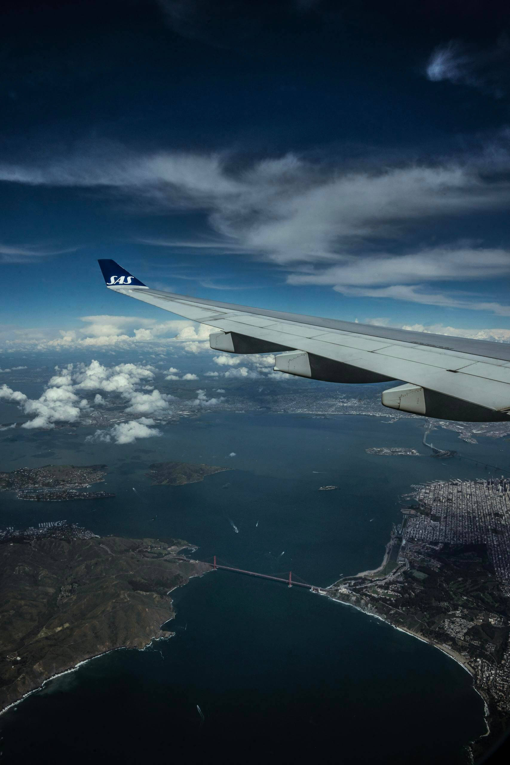 1707x2560 Scandinavian Airlines (SAS) Review: Vegan Meals + Flight Experience In 2026 • The Hopeful Veganista