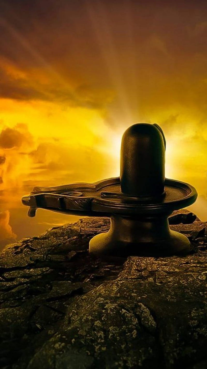 800x1425 Shiva Bhakti, lord shiva, mahadev, HD phone wallpaper