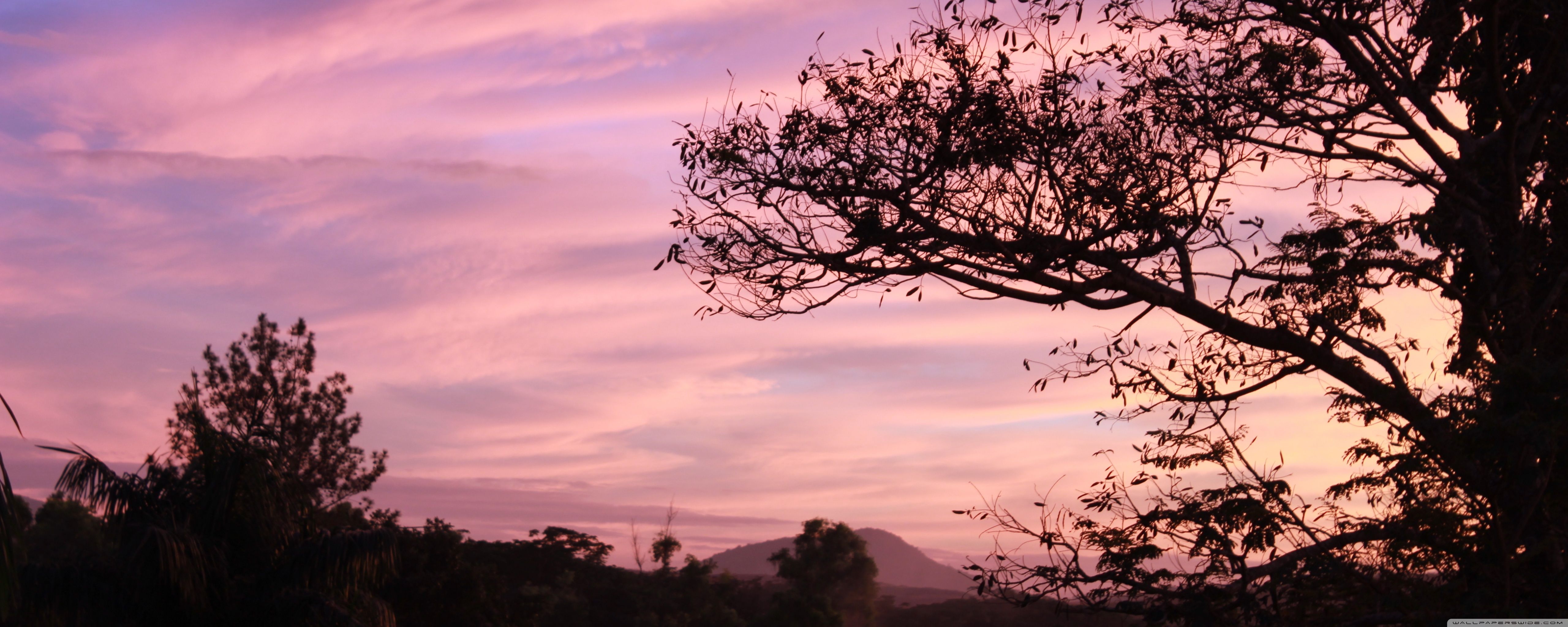 5120x2048 Purple Sky 4K UHD Wallpaper for UltraHD Desktop and TV : Widescreen and UltraWide Display : Dual Monitor