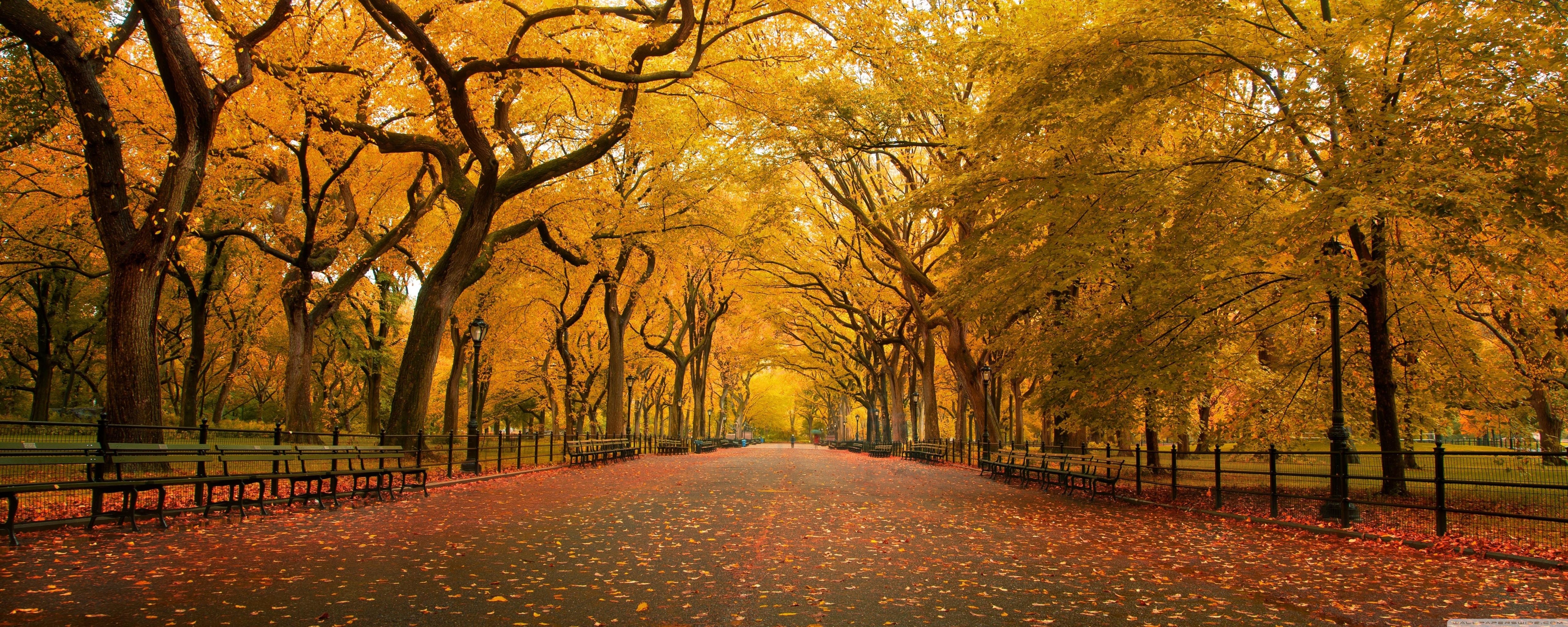 5120x2048 Wide Alley 4K UHD Wallpaper for UltraHD Desktop and TV : Dual Monitor : Smartphone and Tablet Devices