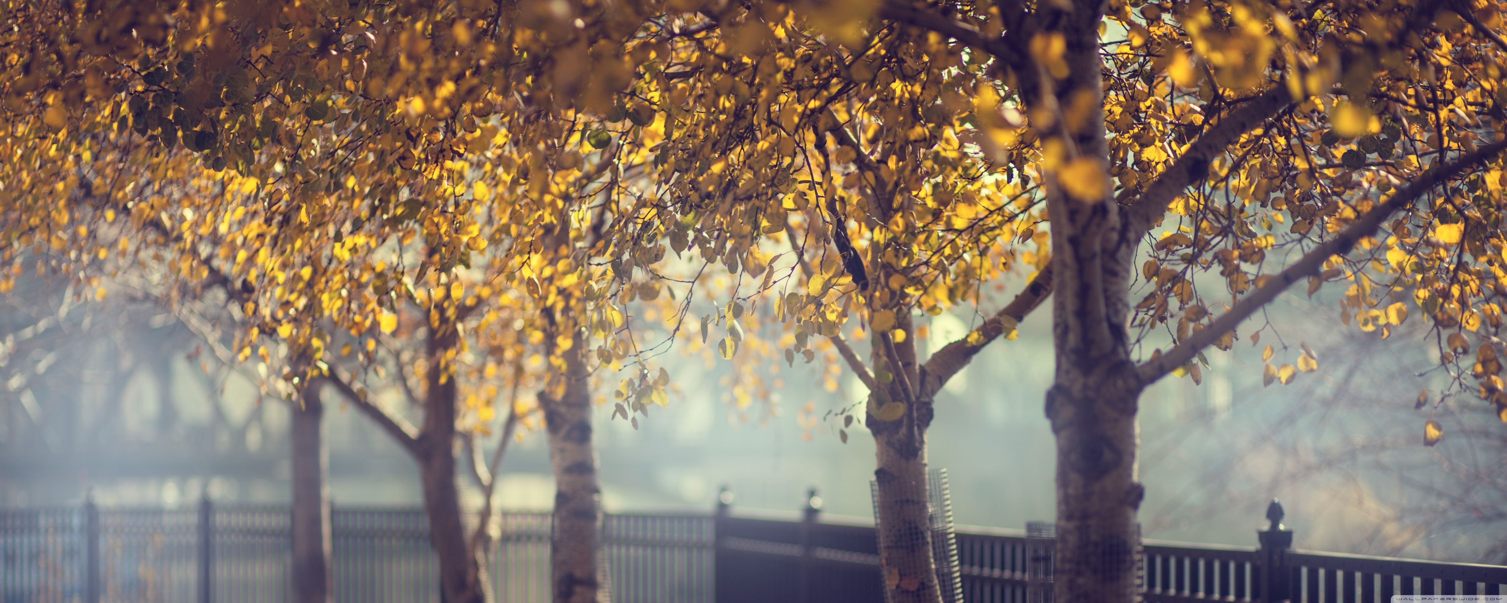 5120x2048 Change 4K UHD Wallpaper for UltraHD Desktop and TV : Widescreen and UltraWide Display : Dual Monitor : Smartphone and Tablet Devices