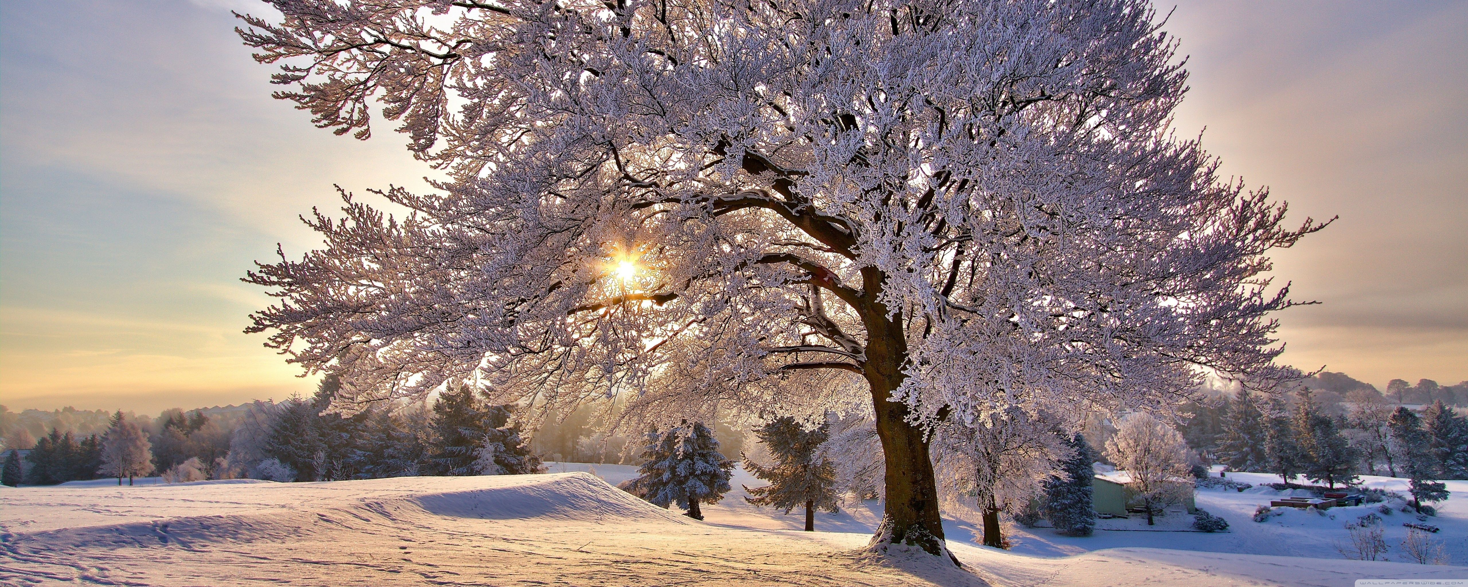 5120x2048 Beautiful Winter Morning 4K UHD Wallpaper for UltraHD Desktop and TV : Dual Monitor : Smartphone and Tablet Devices