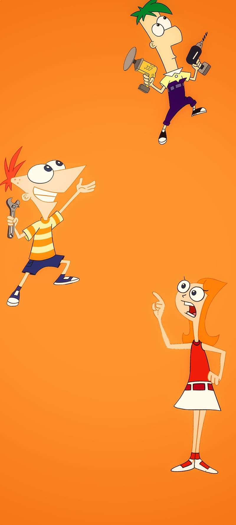 800x1778 HD phineas wallpaper