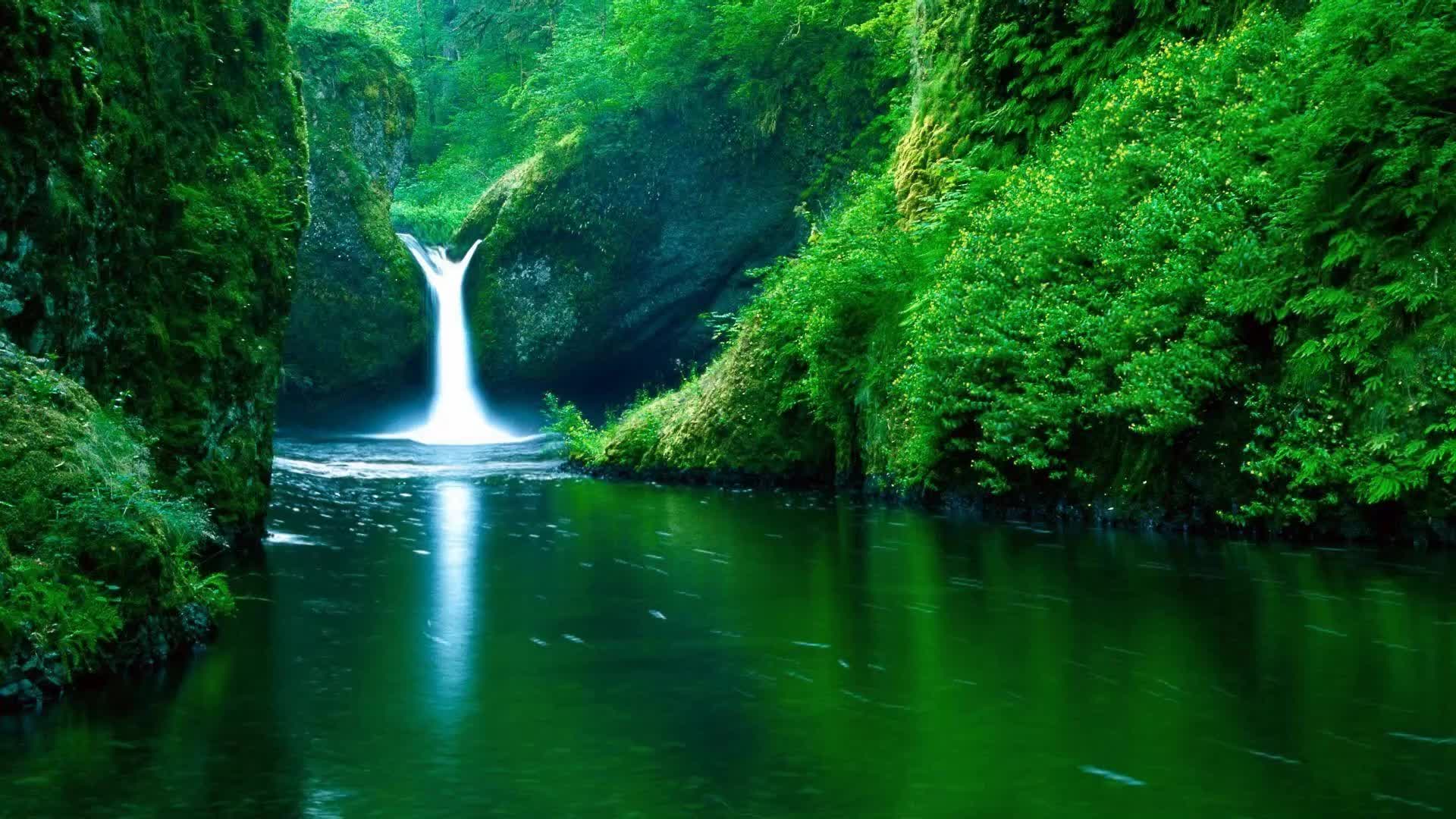 live wallpaper hd nature 3d