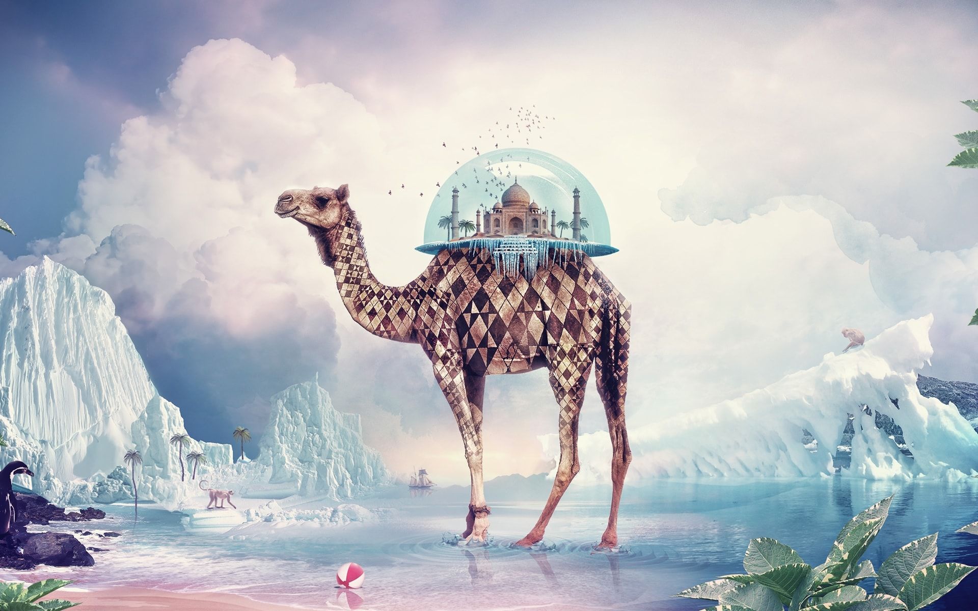 1920x1200 Camel Band Wallpaper