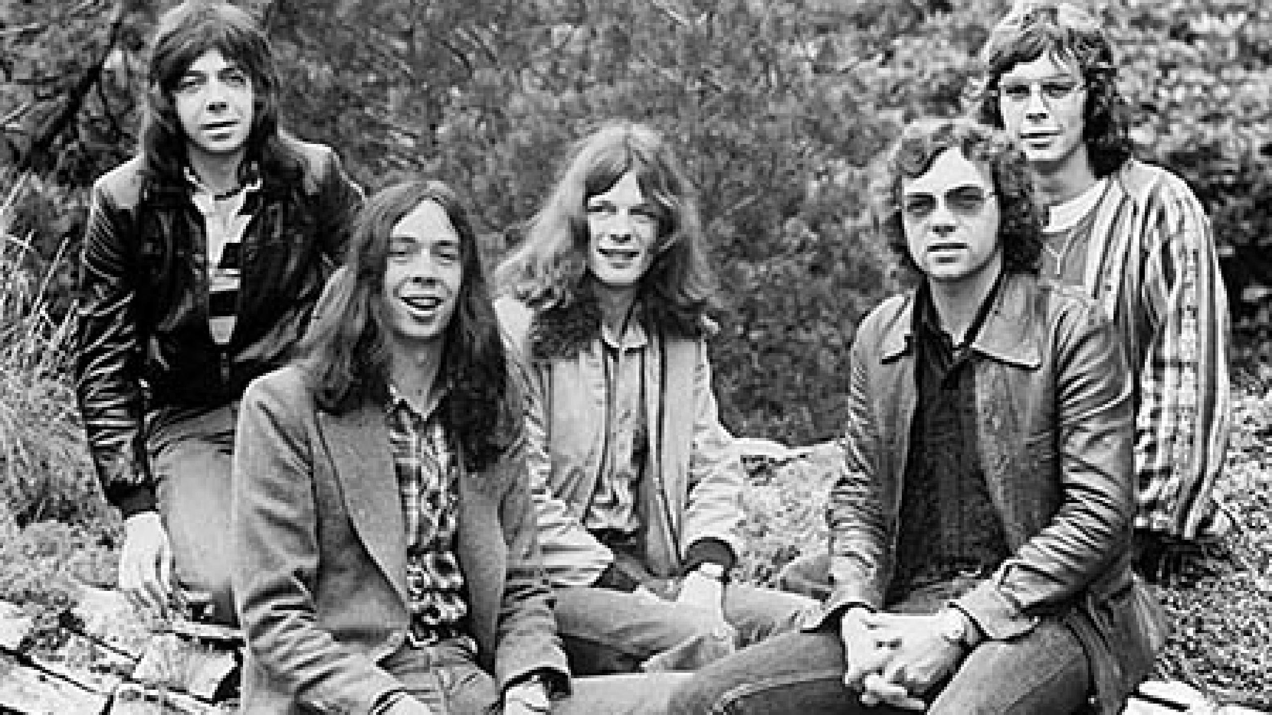 2560x1440 Camel Band Wallpaper