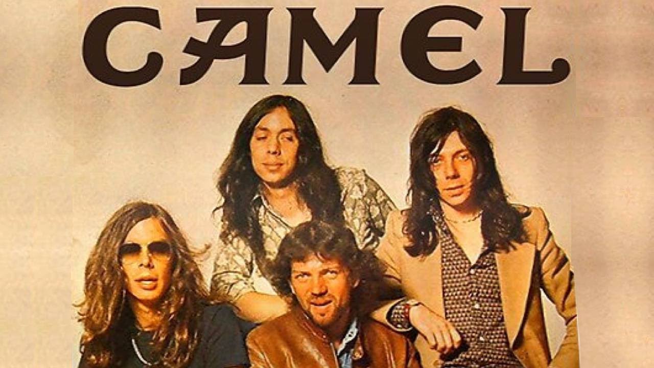 1280x720 Camel Band Wallpaper