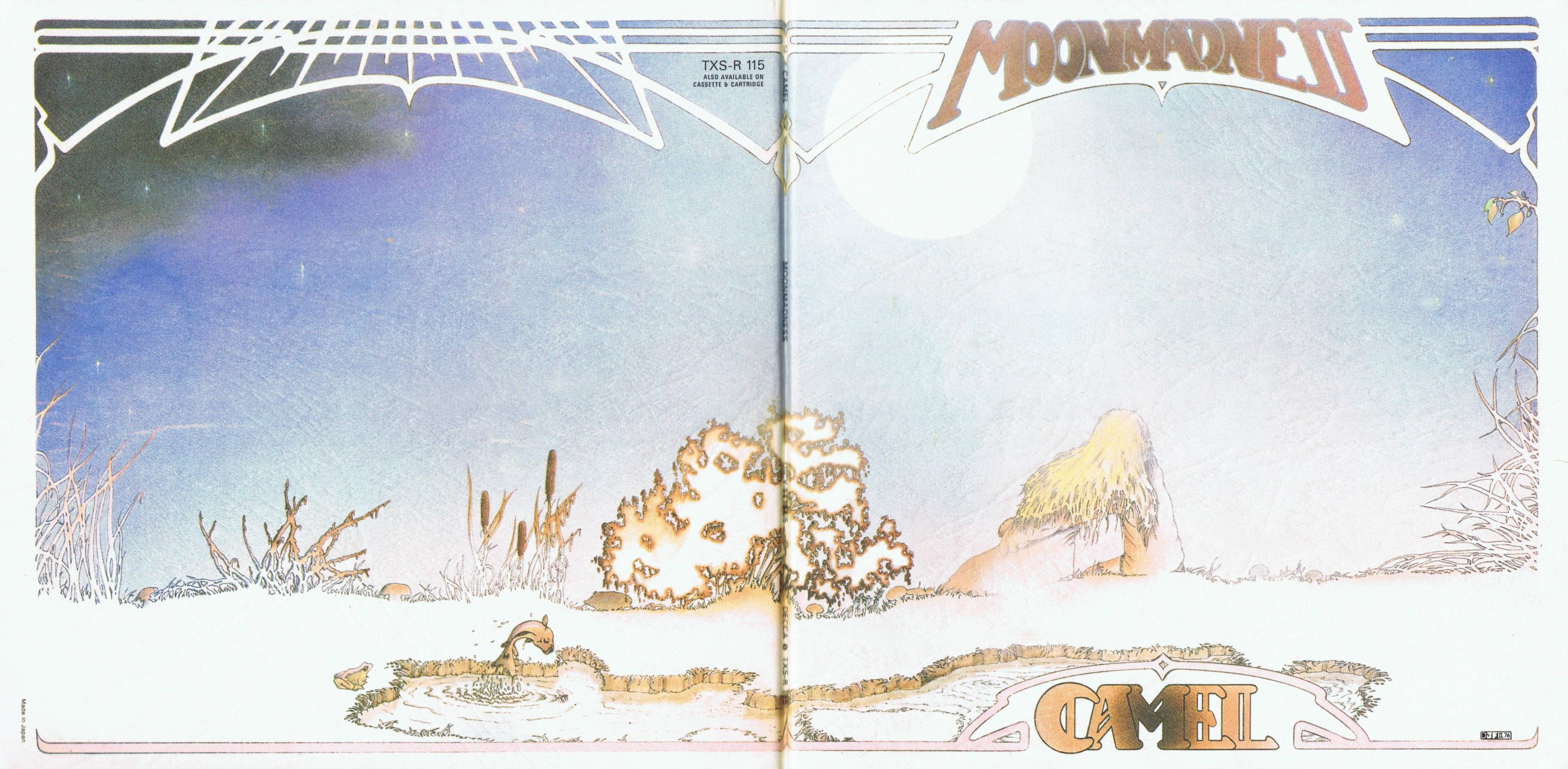 3857x1892 Moonmadness