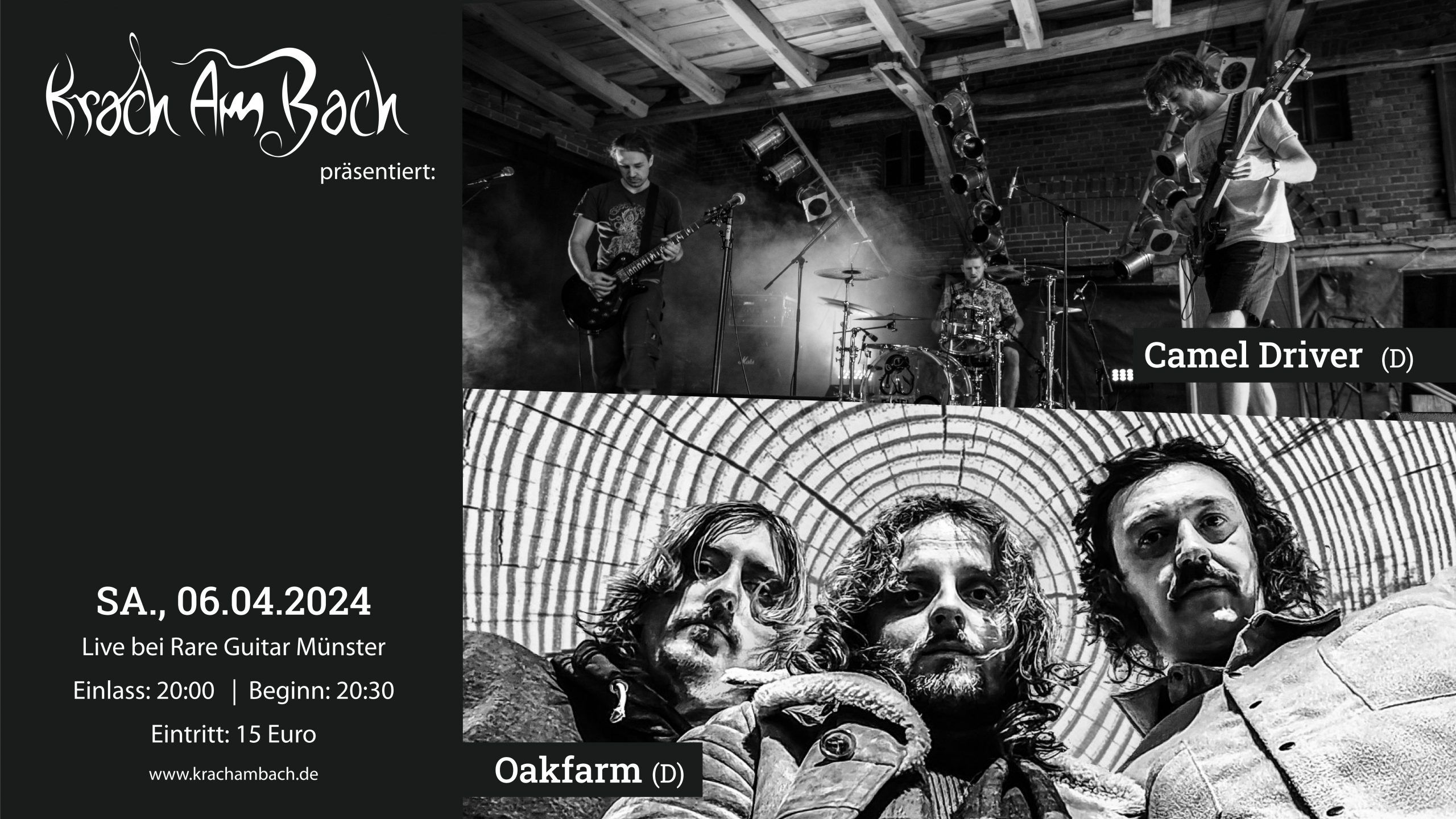 2560x1440 Camel Driver + Oakfarm