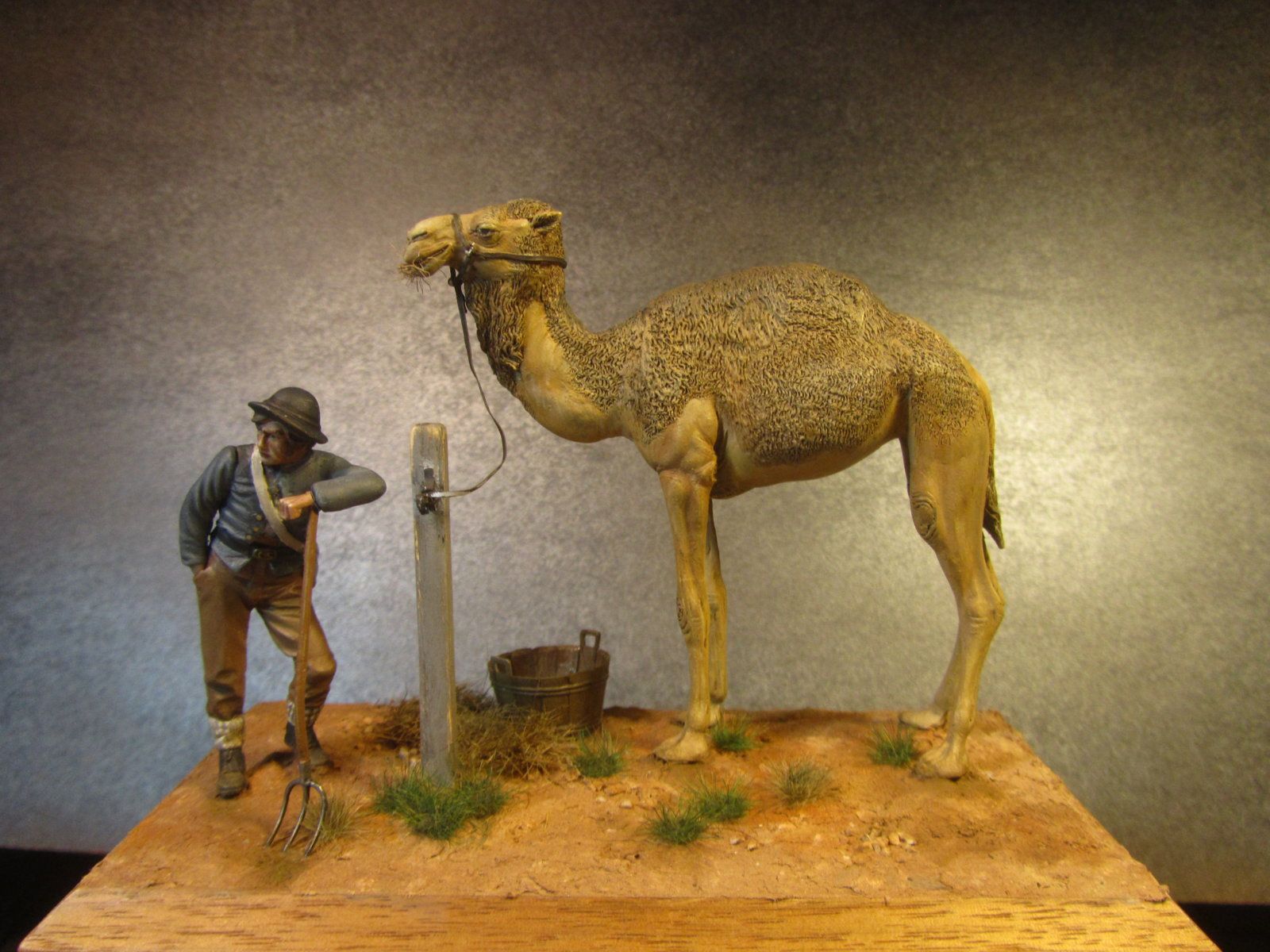 1600x1200 Confederate Camel. Civil War Games & Miniatures. American Civil War Forums