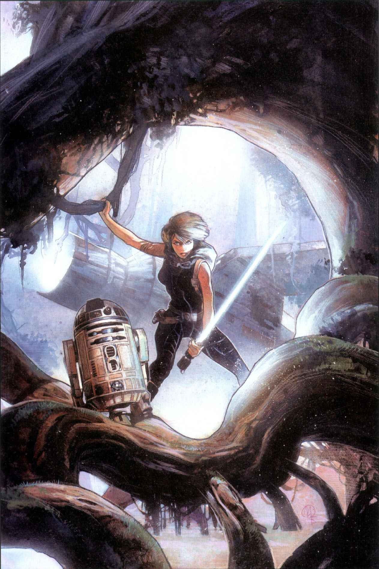 1263x1897 Star Wars characters digital wallpaper, Star Wars, fantasy art, Mara Jade HD wallpaper