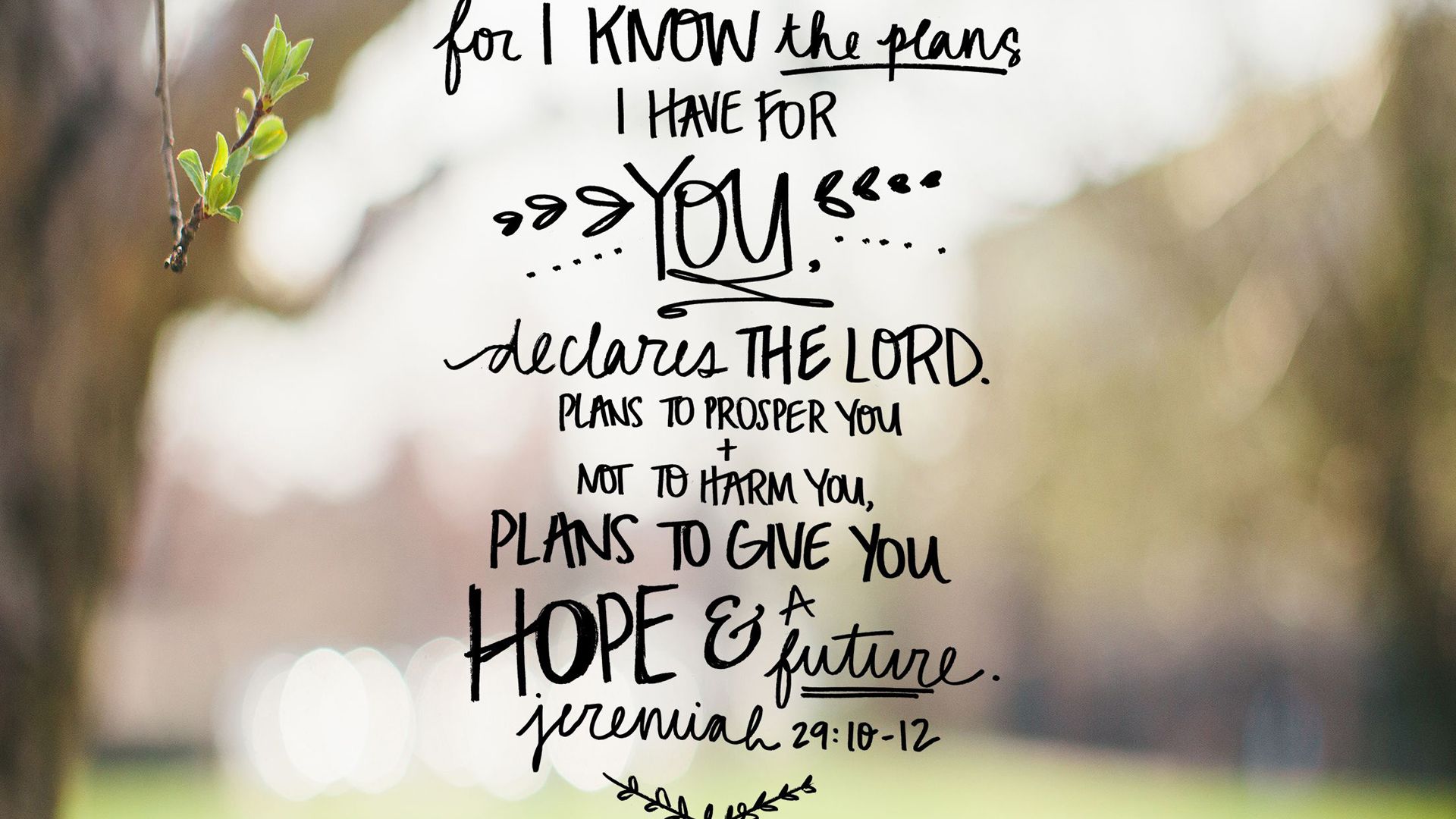 1920x1080 For I Know The Plans I Have For You Declares The Lord HD Bible Verse Wallpaper