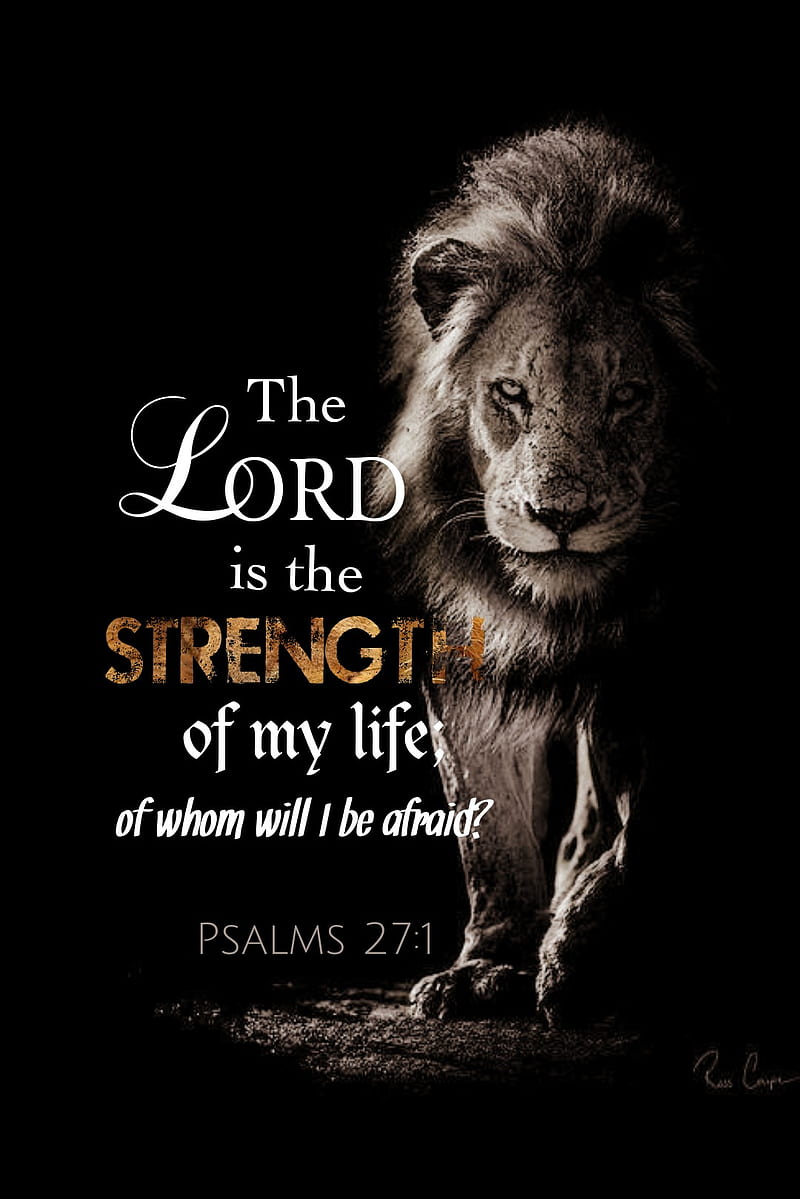 800x1199 Strength of my life, bible, bible scripture, HD phone wallpaper