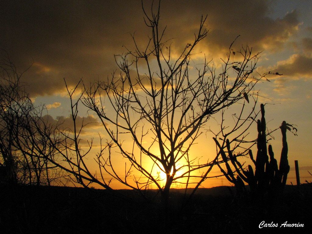 1024x768 Caatinga. Pôr Do Sol M Canindé De São Francisco, Sergipe, B
